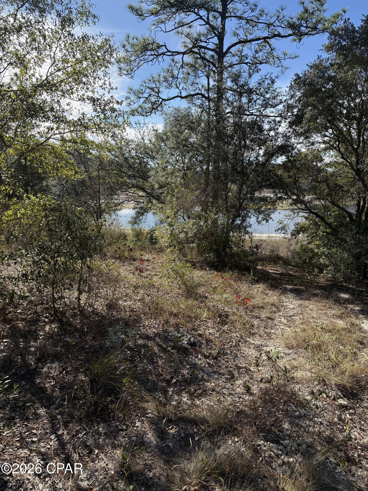 Grassy Pond Ranch - Land