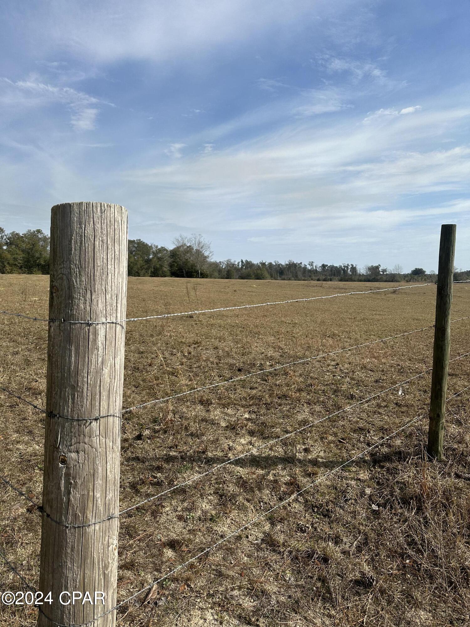 Beautiful 16 Acre parcel just waiting for your dream home.  Property is down a quiet road close to Marianna.  Half the property is fenced for cattle grazing and the other is cleared for row crops.  Mobile Homes are welcome.  If your dreaming of chickens or goats this is the perfect piece to set up your mini farm.  Property has a utility pole in the middle of the front of the parcel, perfect to have power run.  Drive by today to see all this property has to offer.