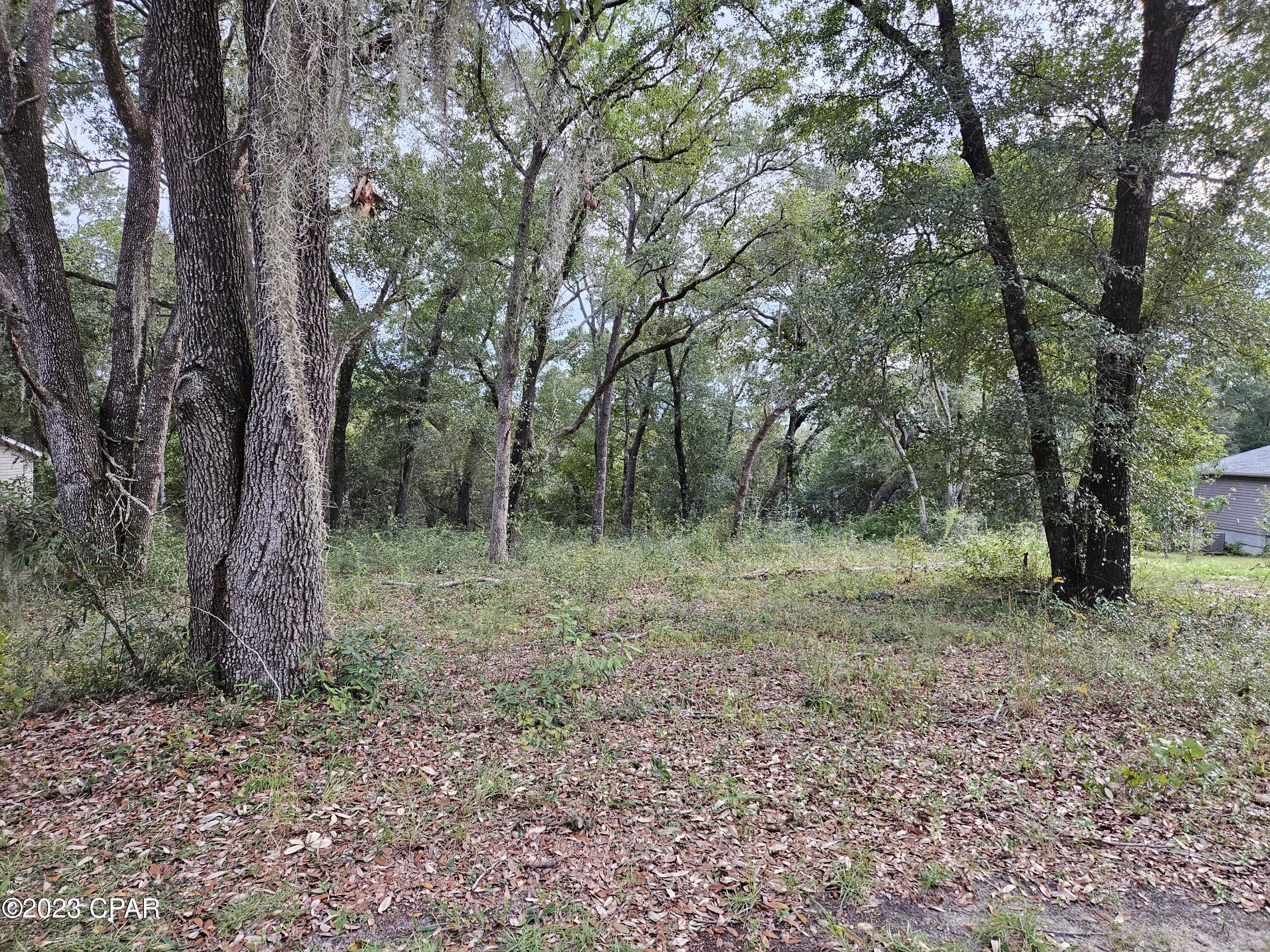 This waterfront lot in the security gated subdivision of Leisure Lakes would be a wonderful place for your new home. The lake is on the east side of the lake which makes it an ideal location to watch the sunset across the water. The lot is untouched and has many large live oak trees, some with hanging moss. The lot has a few springs near the water's edge that is a source of fresh clear water for the lake. The amenities include a boat launch on this lake as well as the larger lake in the subdivision. It offers a swimming pool in the common area, along with a tennis court, basketball court, weight room, full kitchen rental, picnic areas, and a toddler playground.