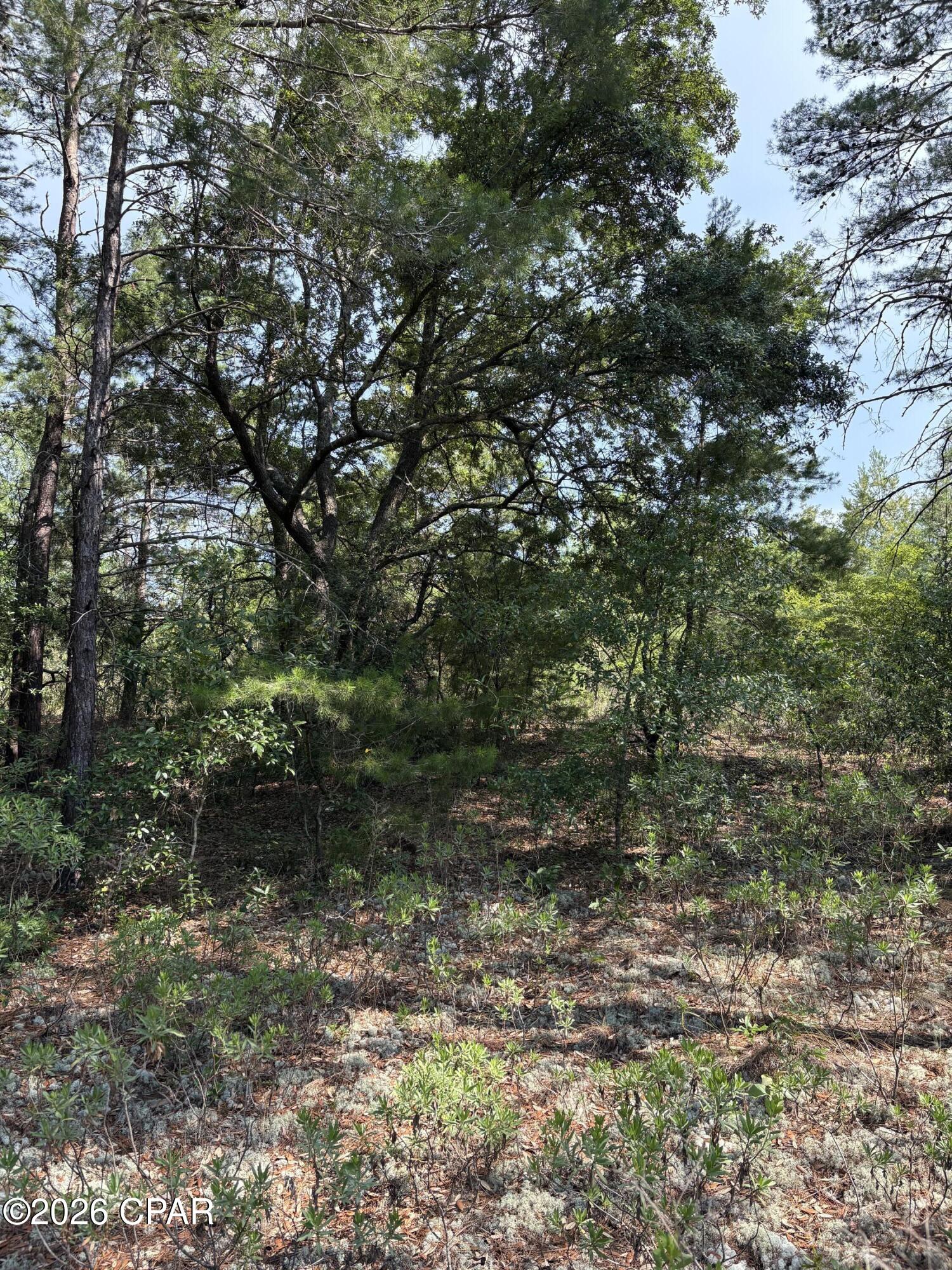 Sunny Hills Unit 1 - Land