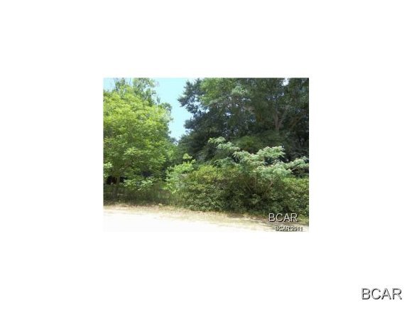 Are you ready to build your own custom home and invest in the very desirable Lynn Haven area? Then this is the property for you. You can keep it whole or subdivide it once. The value is in the land only. One lot is on Alaska and other is on Delaware Ave. It is large enough to be subdivided into 2 buildable lots according to the city planner. If subdivided, the Alaska Ave side may be annexed into the city in order to access the city sewer and a right of way can be created thru to the Delaware Side where the sewer is located. To do this you must get the variance approval from the Lynn Haven City planner and City Commission. Motivated seller---bring any & all offers.