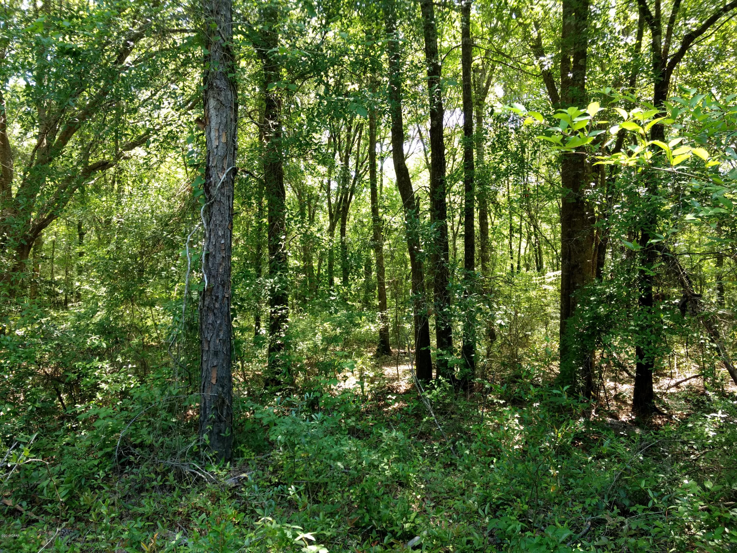 Nice wooded lot in the Caryville Camp Sites. Would make a great get a way place, not far from the boat landing.