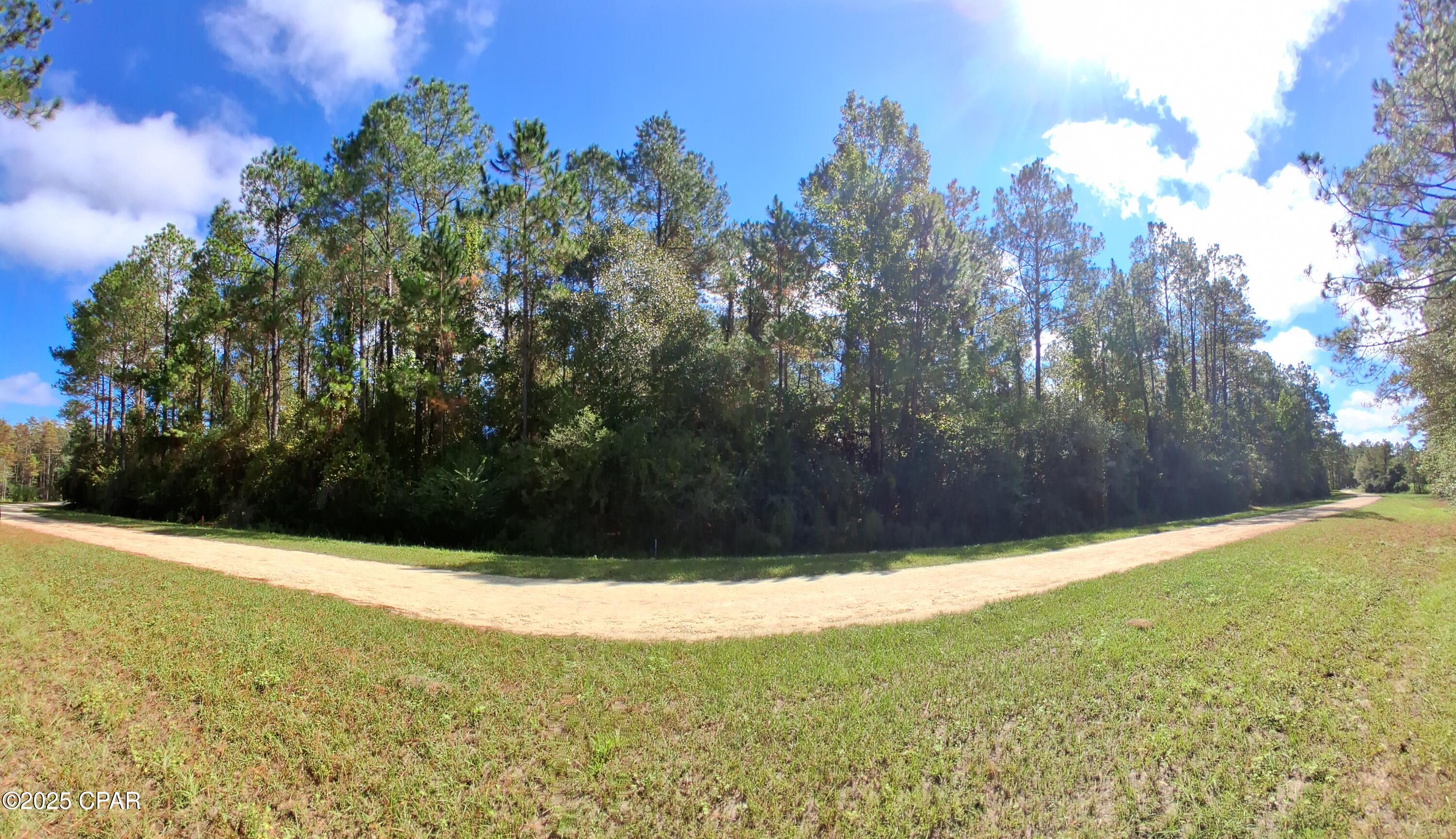 Reedy Creek - Land