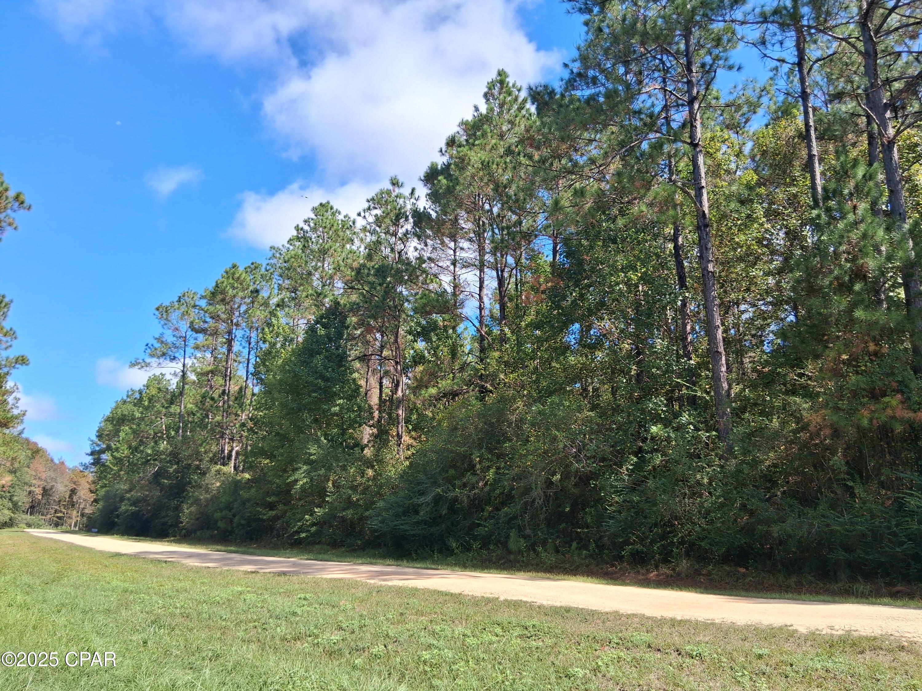 Reedy Creek - Land