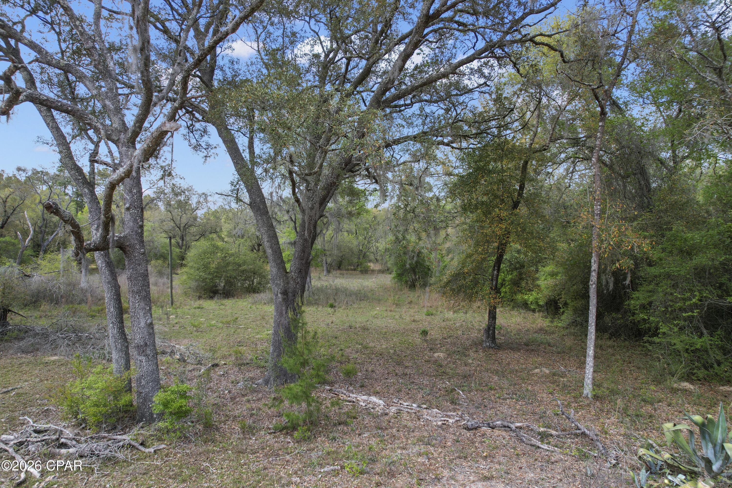 Discover the perfect opportunity to build your dream home on 4006 Wood Duck Trail in Chipley, FL. This vacant parcel offers a peaceful setting with plenty of space to create exactly what you want whether it's a primary residence, weekend getaway, or investment property.

Enjoy the privacy and quiet of country living while still being within a short drive to town for shopping, dining, and everyday conveniences. With room for a home, workshop, and outdoor living space, the possibilities here are wide open.

No HOA gives you the freedom to build and use the property to fit your vision. Bring your builder, your plans, and start turning your ideas into reality.

If you've been looking for an affordable piece of land with flexibility and potential, this is one worth checking out.