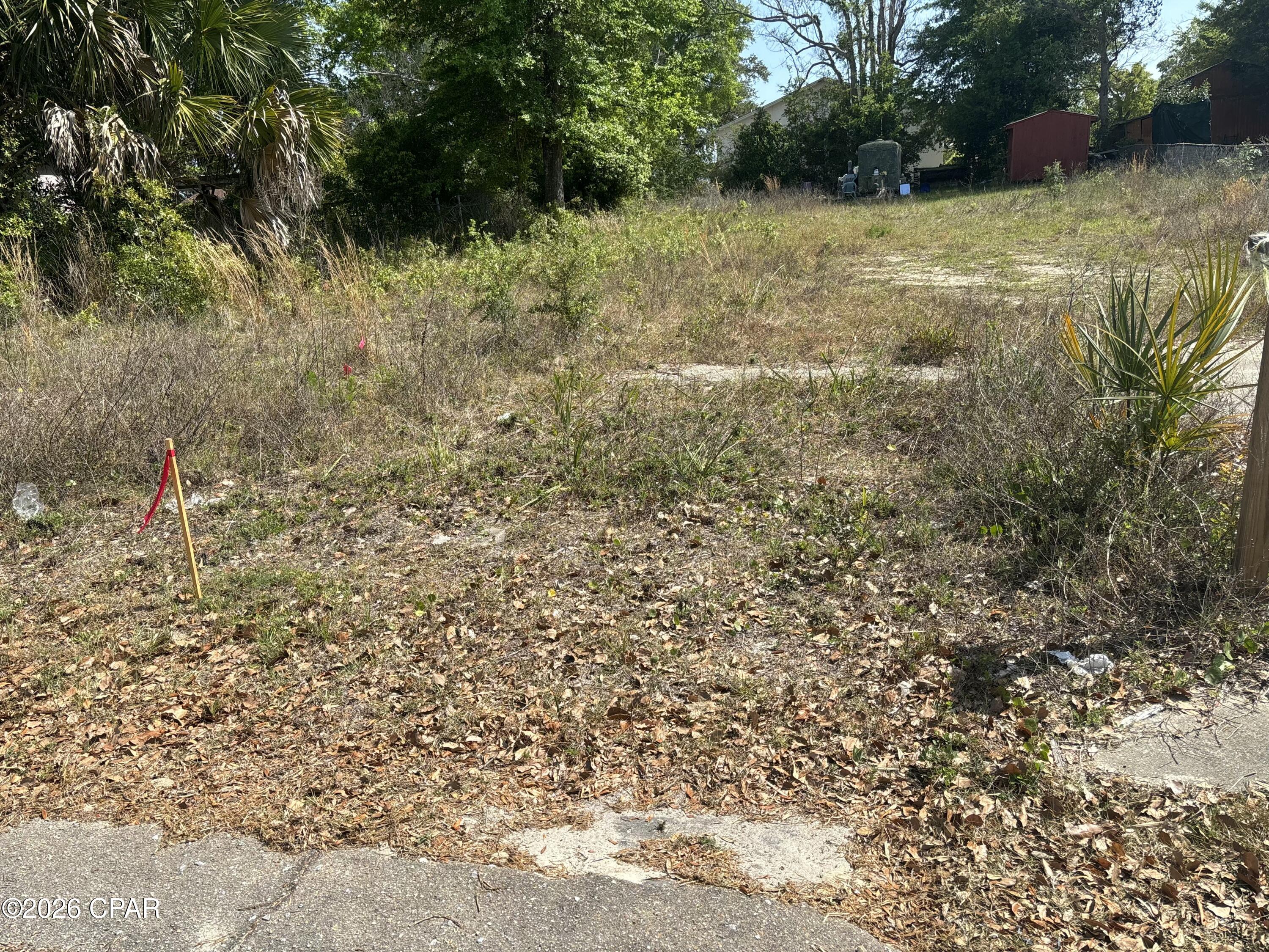 Go Show, vacant residential lot.