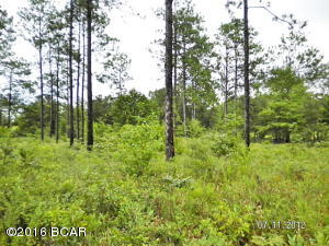 Very nice large parcel of land, about 39ac with around 25 of it in cropland lots of paved road frontage and graded road frontage, some large pines and oaks.