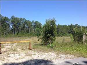 This is a prime building lot in an area of the county that continues to grow. Located close to town but still in the country, it is only minutes away from shopping, TAFB and the beach. Owner is offering the entire 2.57 acre lot for $40,000 or two individual lots for $25,000 each. Owner has confirmed that the county has said that the lot can be subdivided into 2 separate lots. If owner receives an acceptable offer on one of the two lots he will take the necessary steps to have the property subdivided prior to closing.