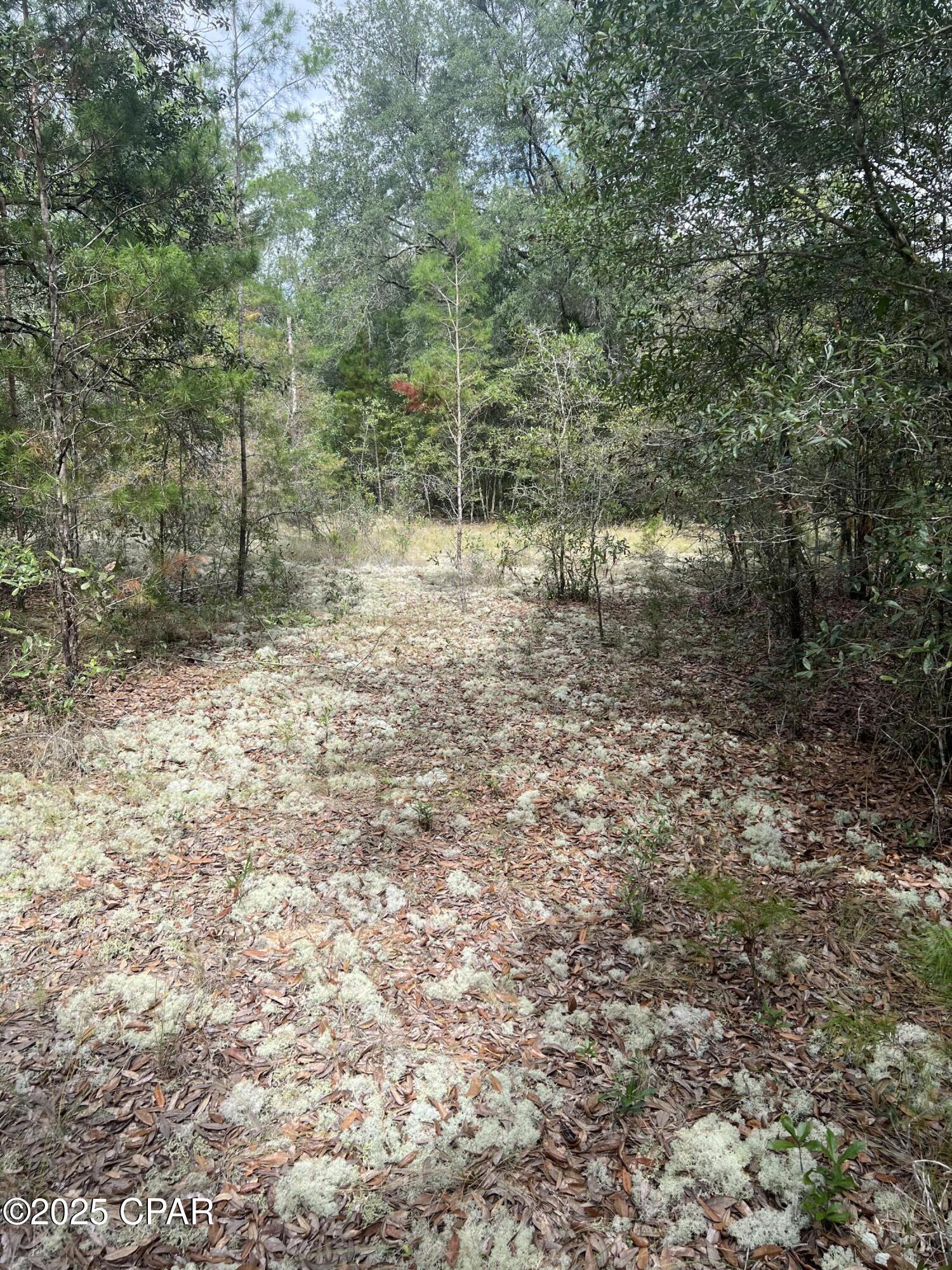 Sunny Hills Unit 1 - Land
