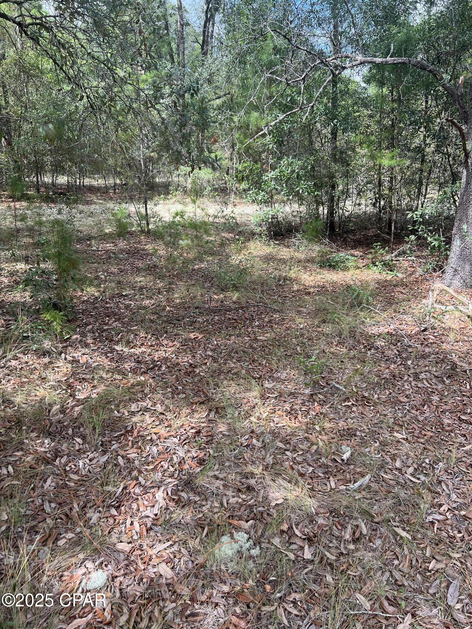 Sunny Hills Unit 1 - Land