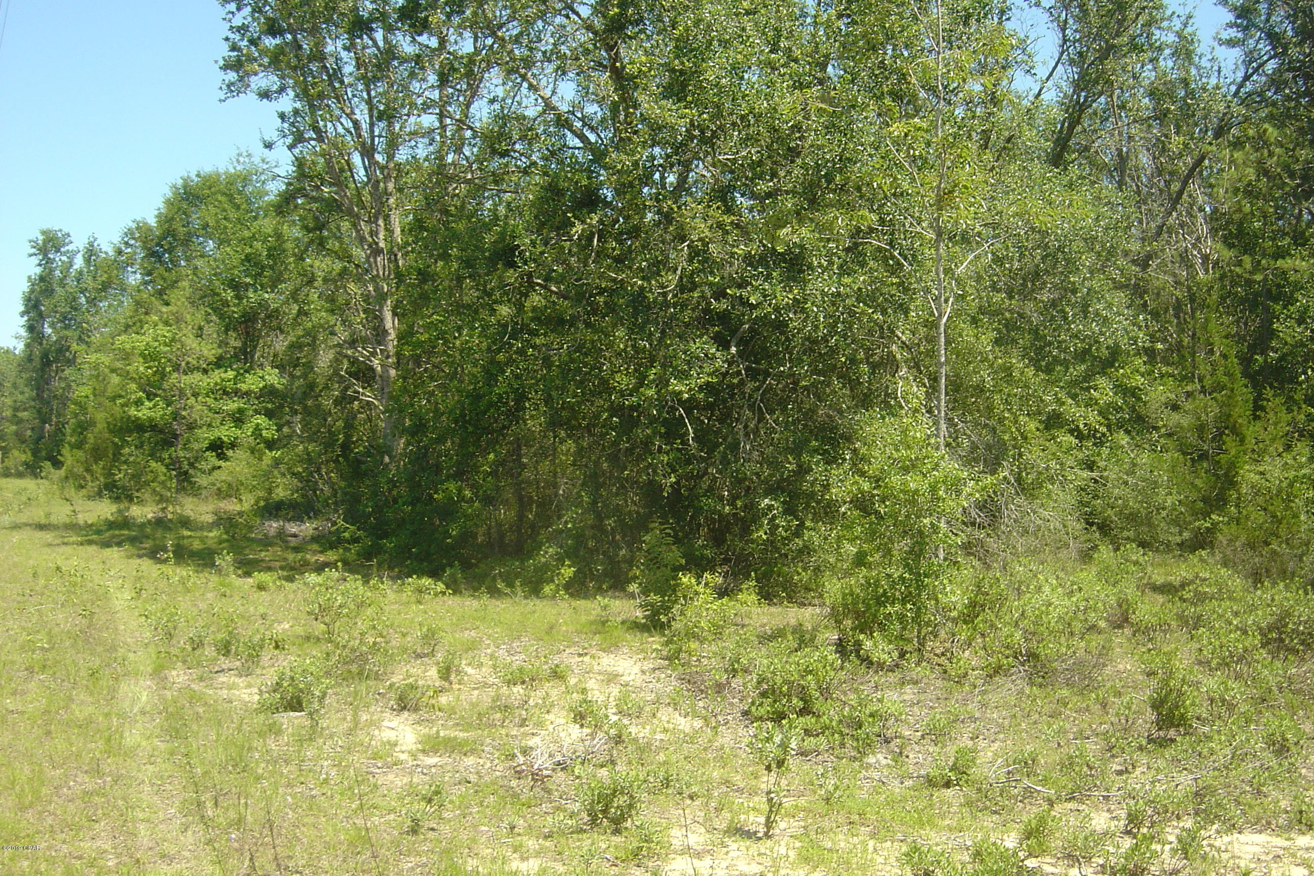 Compass Lake Hills Unit 1 - Land