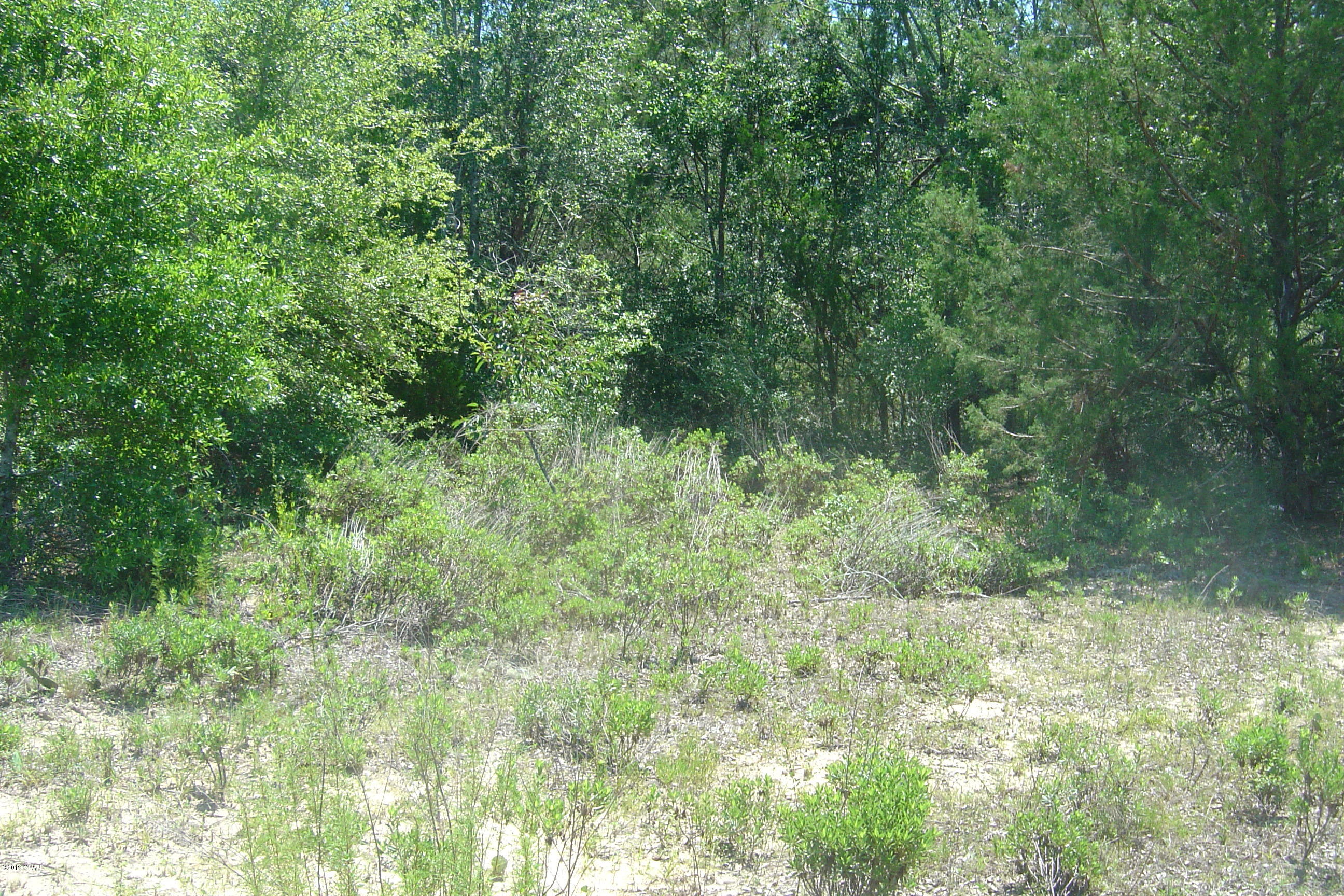 Compass Lake Hills Unit 1 - Land