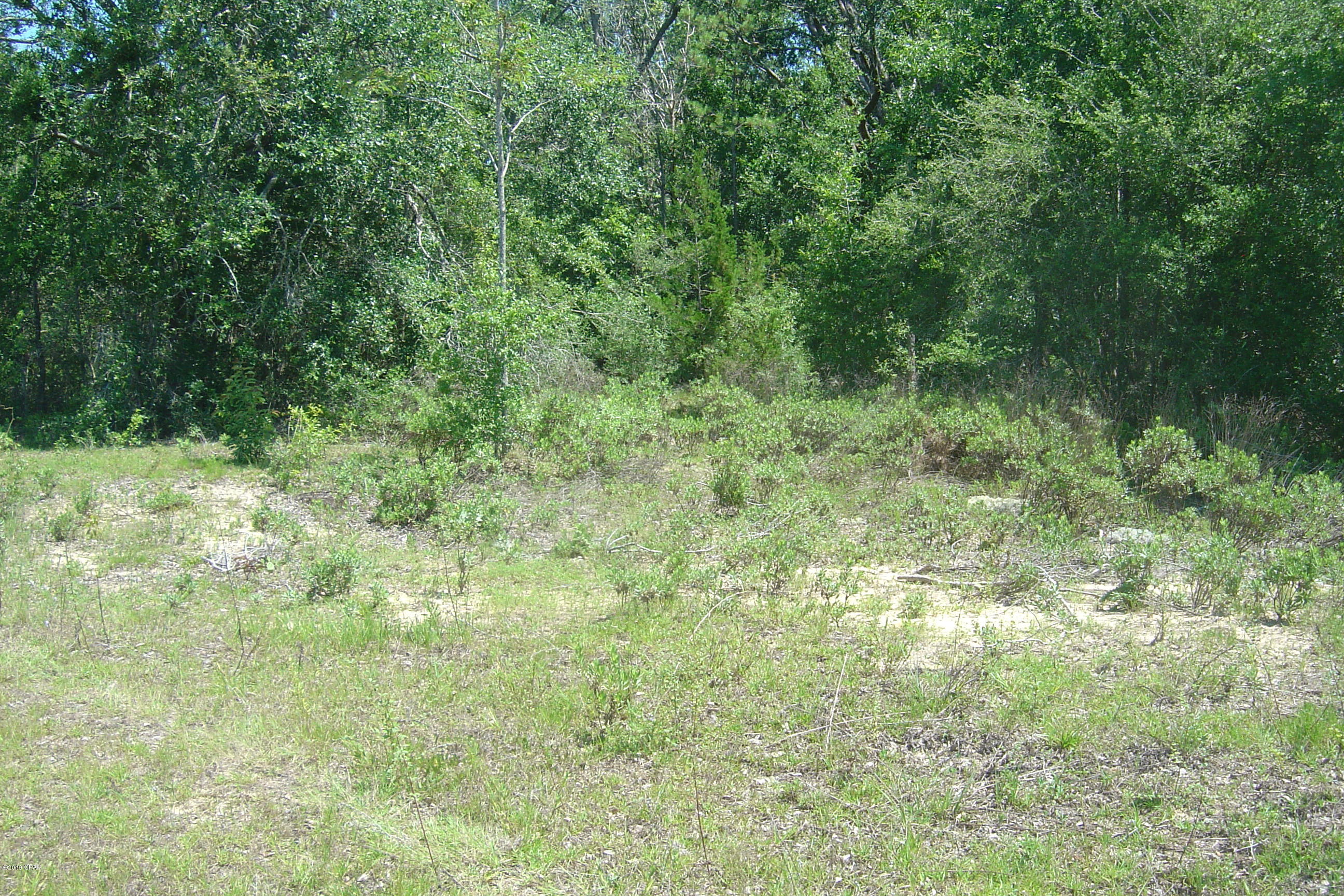 Compass Lake Hills Unit 1 - Land
