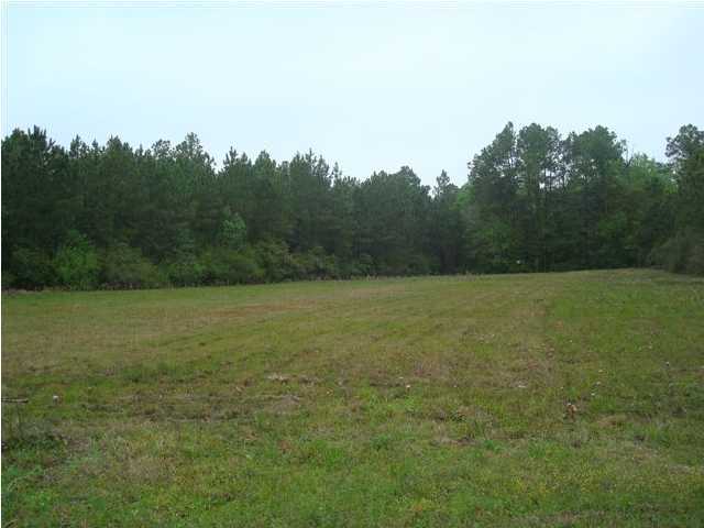GREAT COMMERCIAL LOCATION ON BUSY HWY 231. OVER 4 +/- ACRES OF LAND JUST WAITING FOR A BUSINESS. 

INCLUDE PARCELS 05732-010-000 AND 05732-020-000