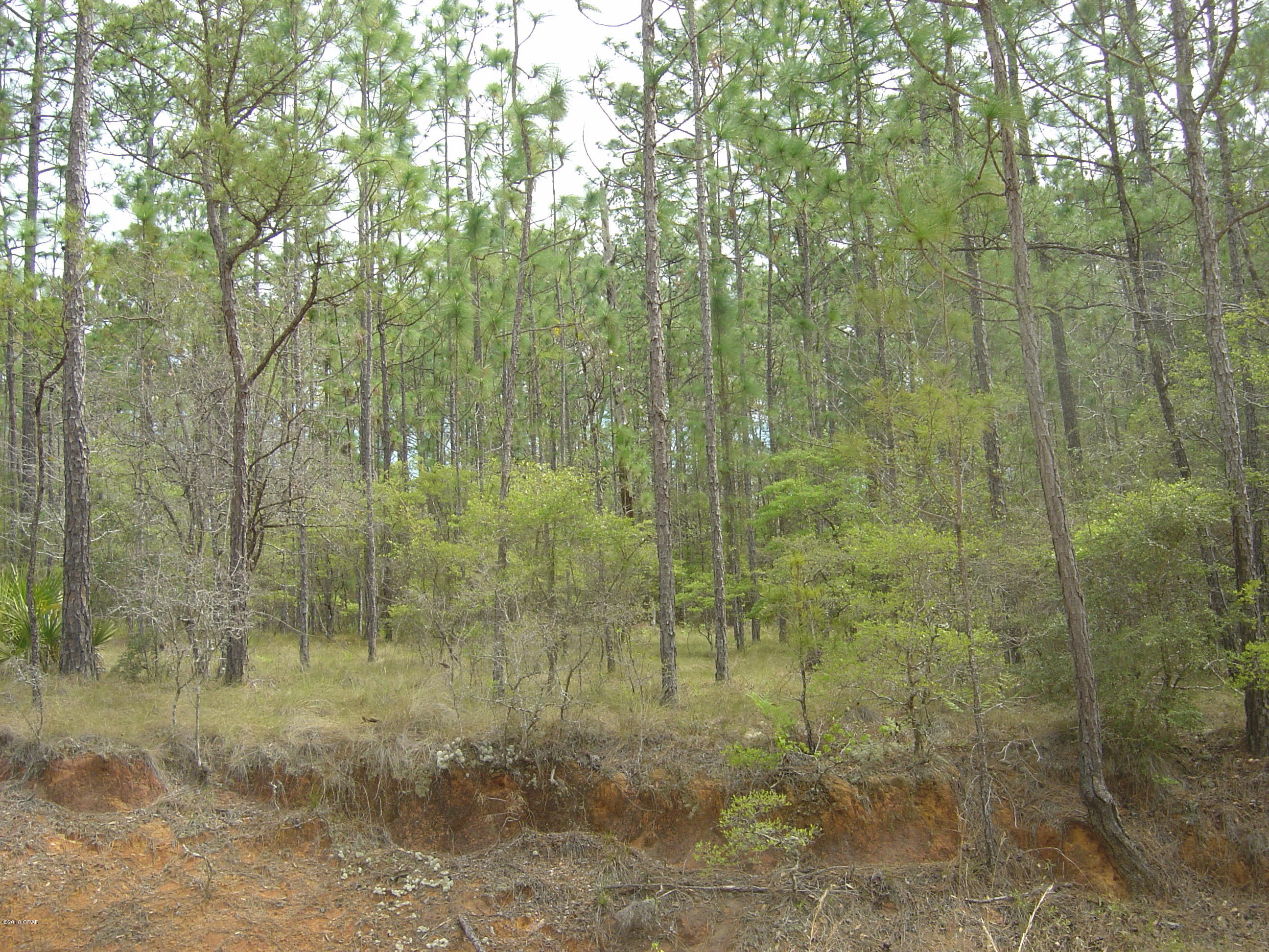 Compass Lake Hills Unit 5 - Land