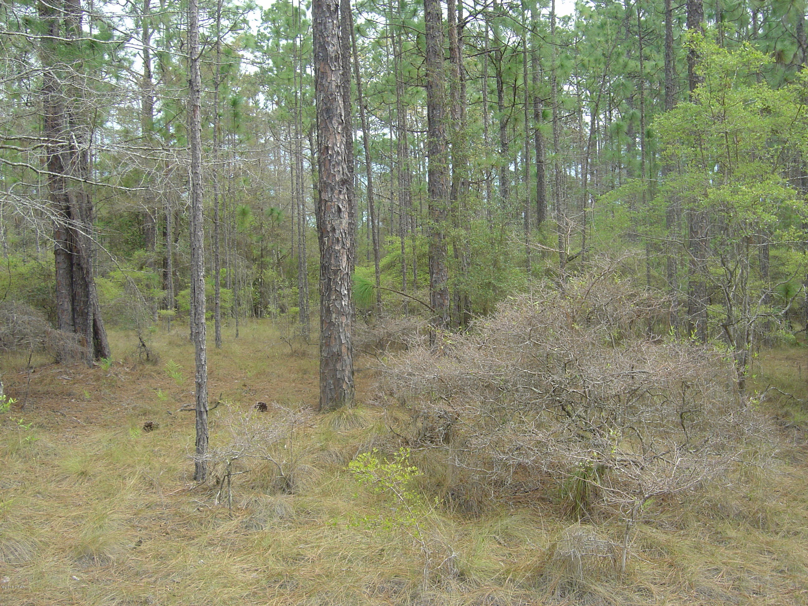 Compass Lake Hills Unit 5 - Land