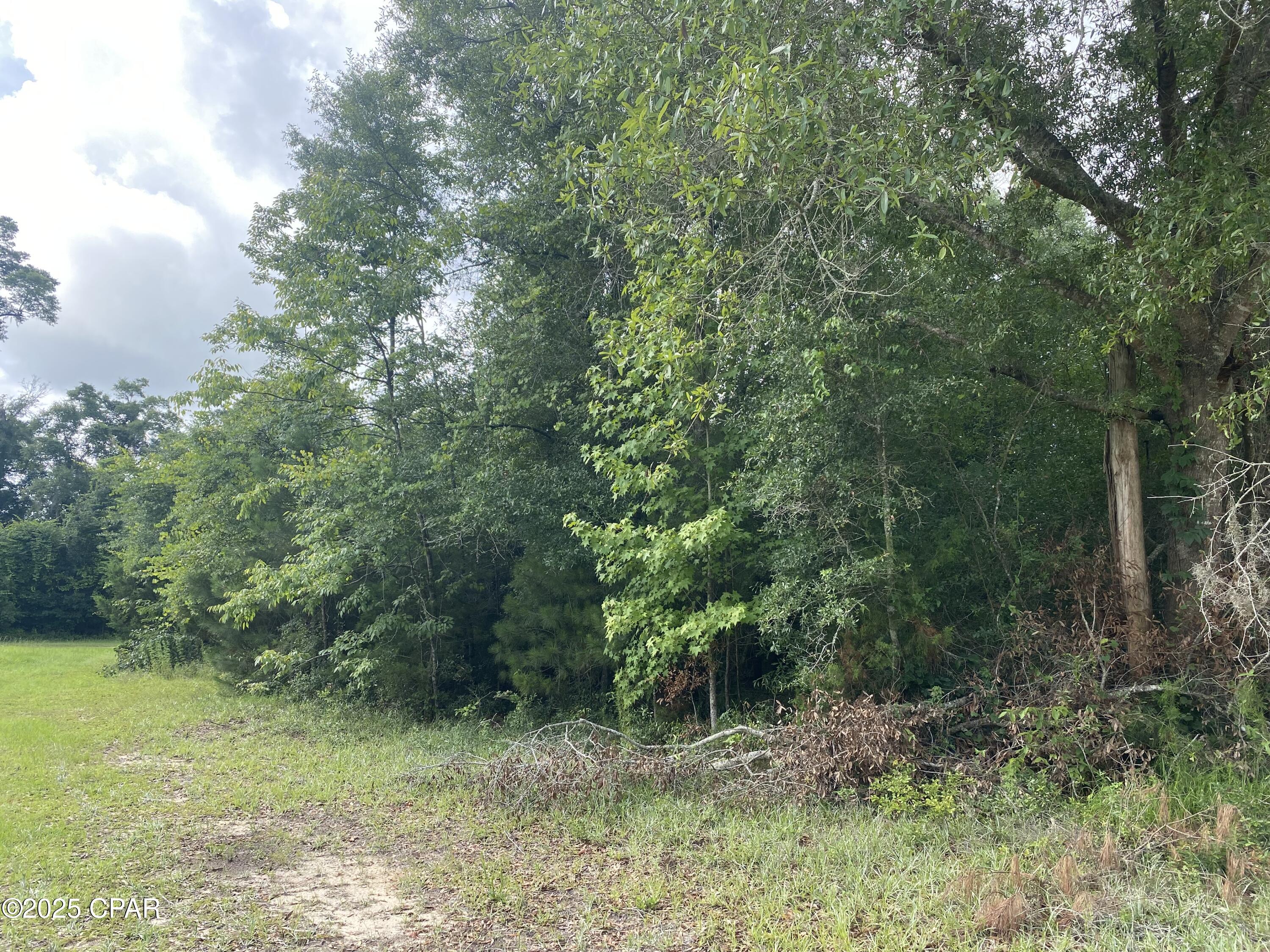 Indian Springs Golf Course - Land