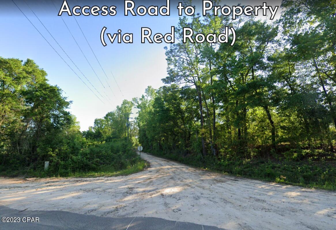 Reedy Creek - Land