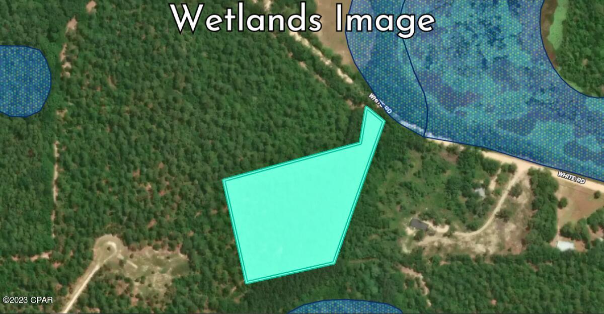 Reedy Creek - Land