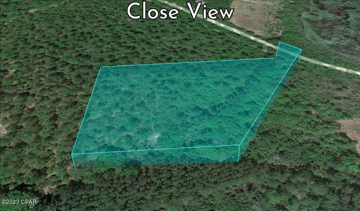 Reedy Creek - Land