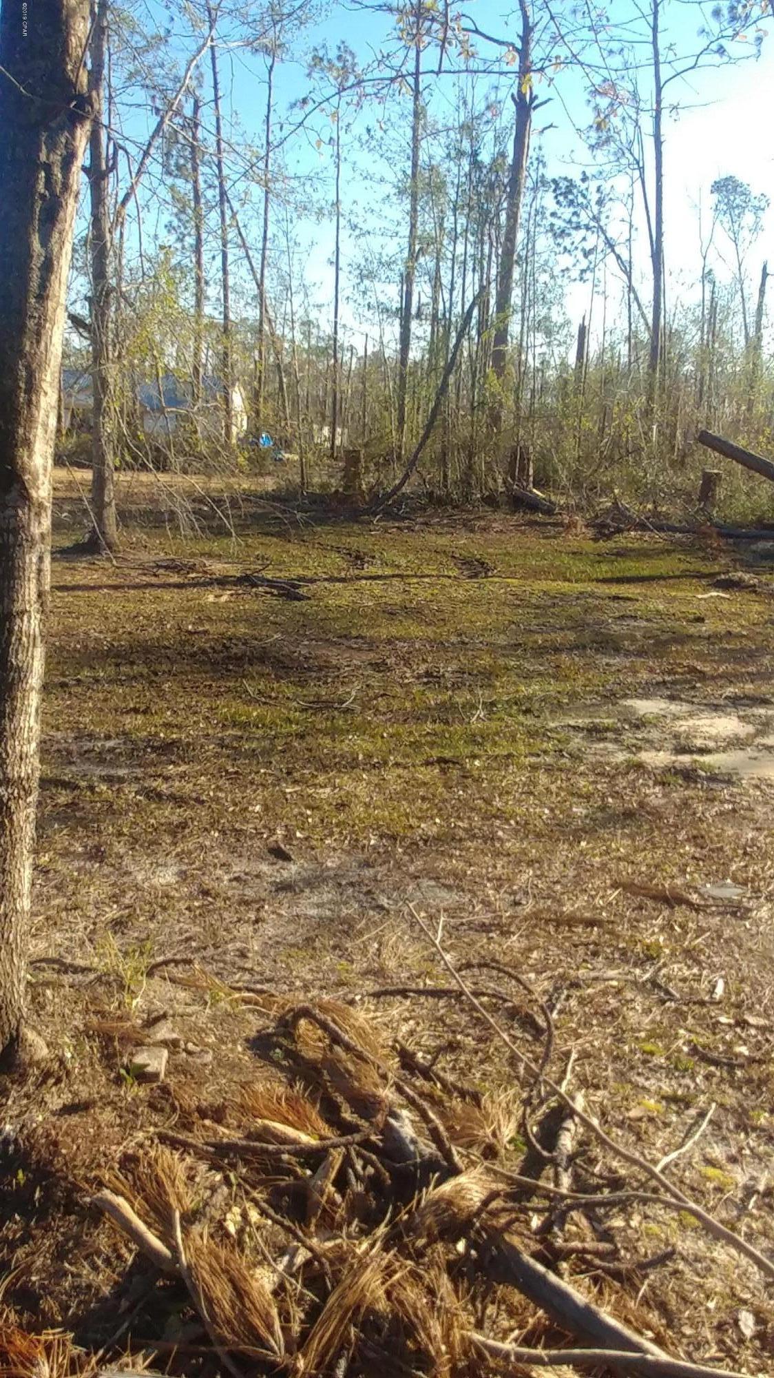 Zoned for mobile of DSF home .  Well and Septic Tank  in place.  Mobile home was destroyed by Hurricane Michael, will be removed.  Trees down along property line
