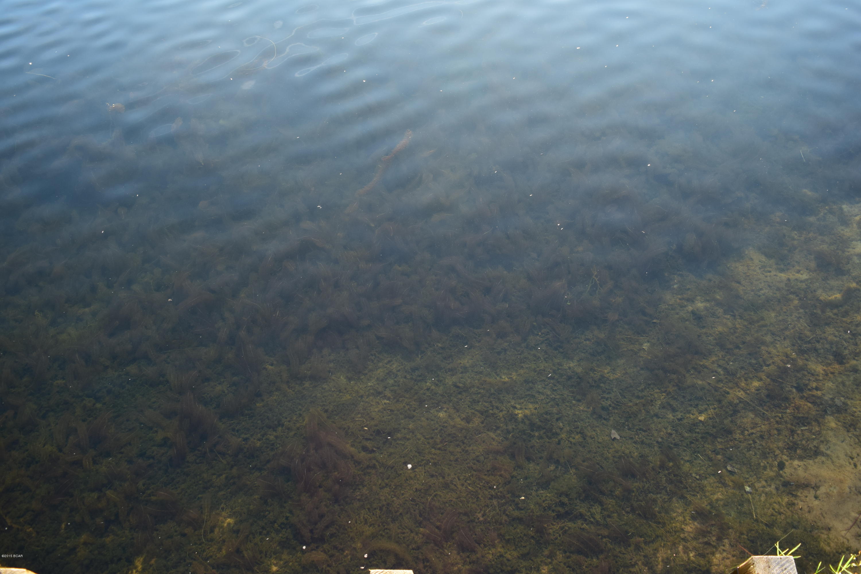 Lake Marin - Residential