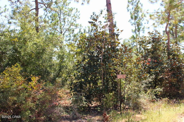 Compass Lake Hills Unit 6 - Land