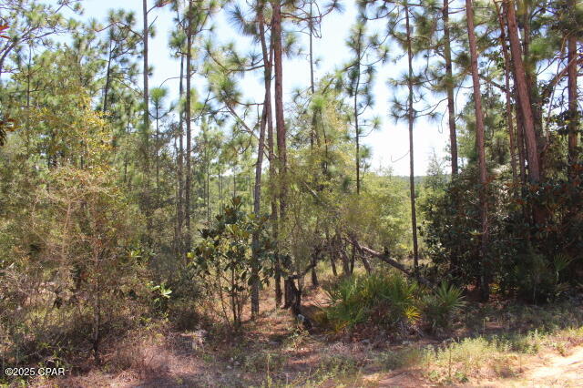 Compass Lake Hills Unit 6 - Land