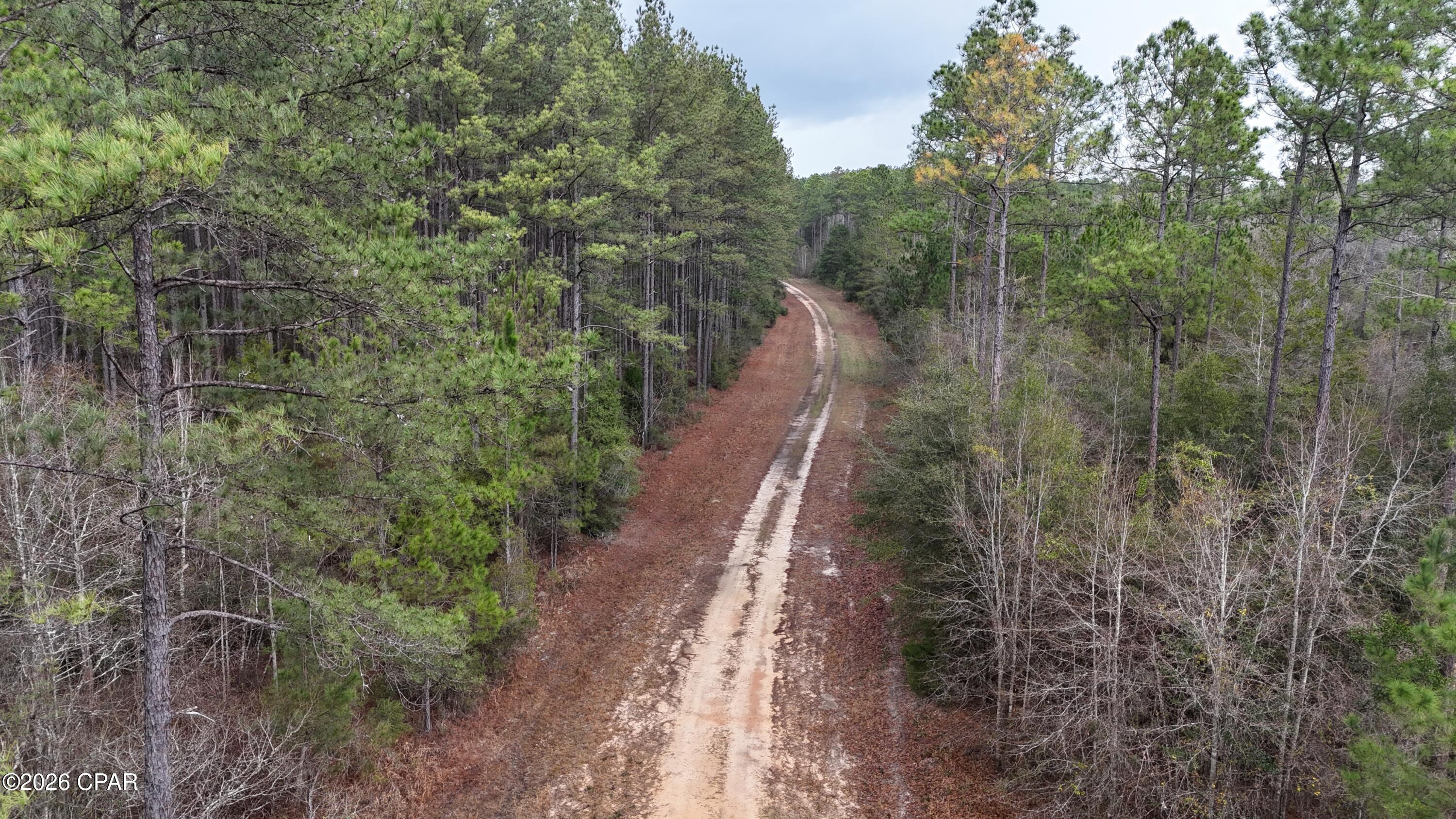 Canopy Crossing - Land