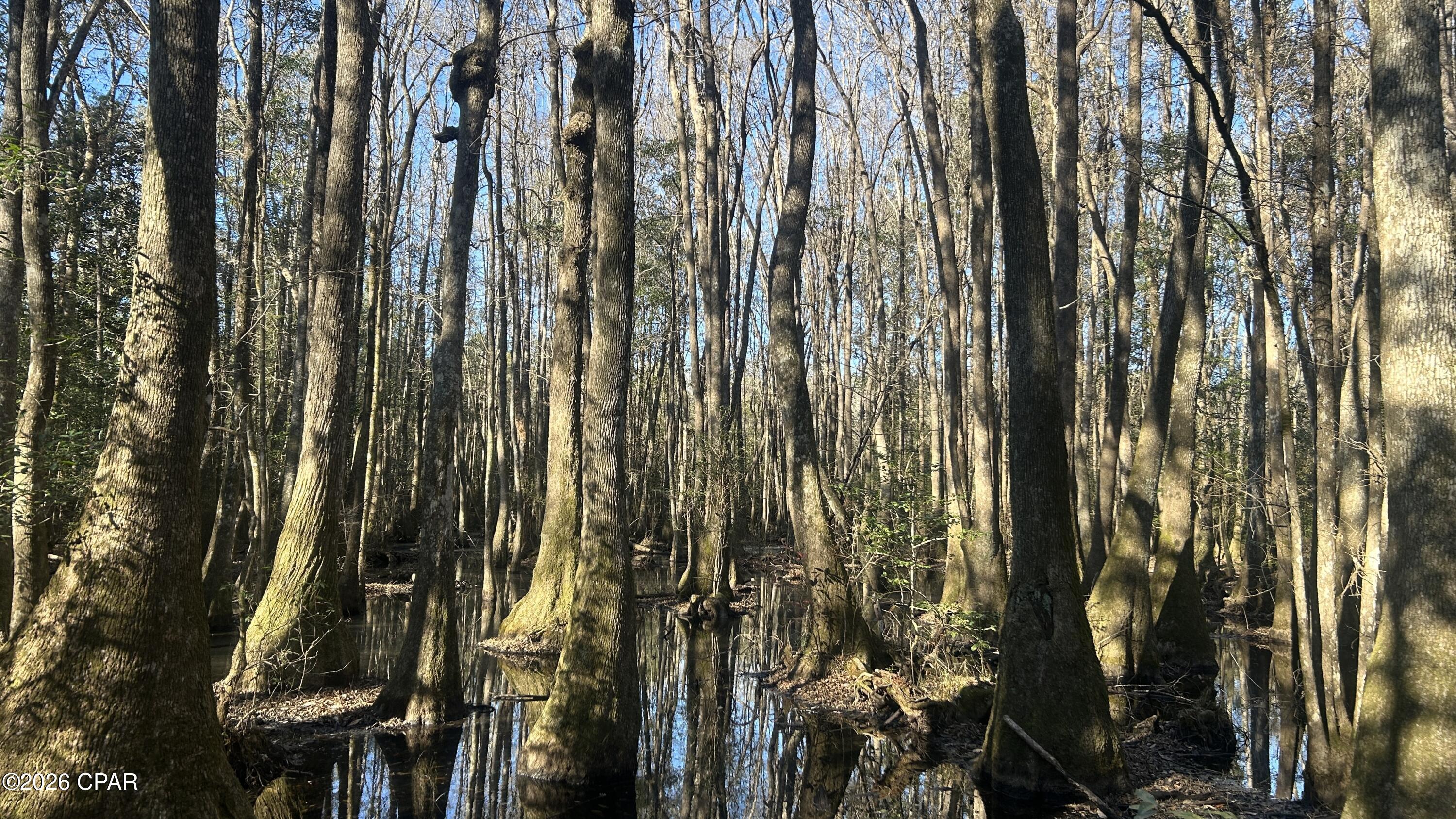 Other - Land