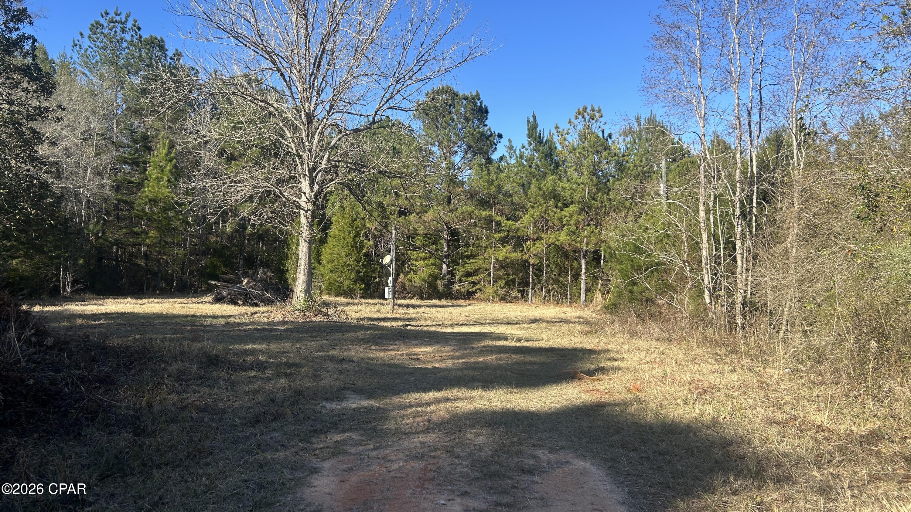 Other - Land
