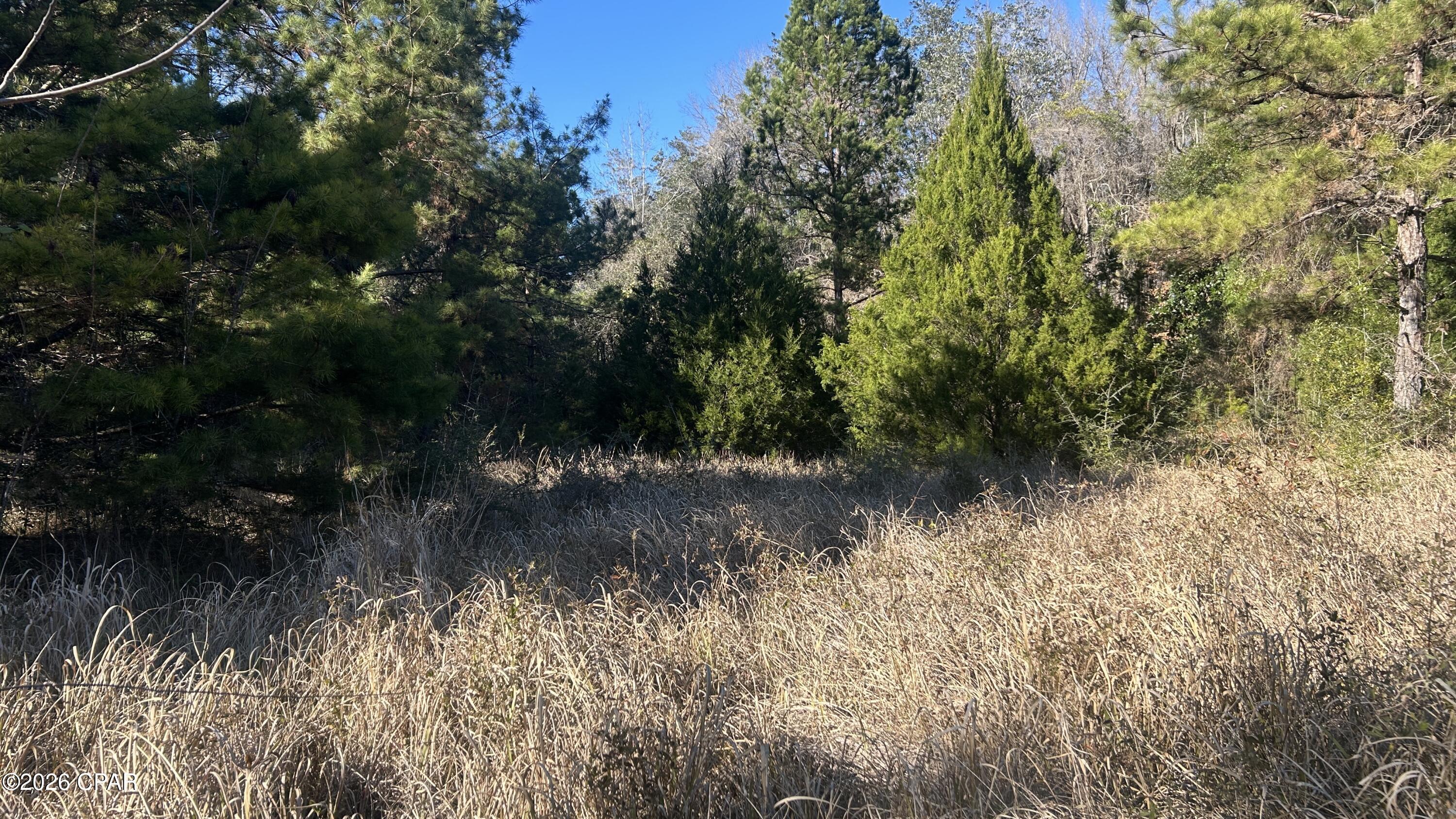 Other - Land