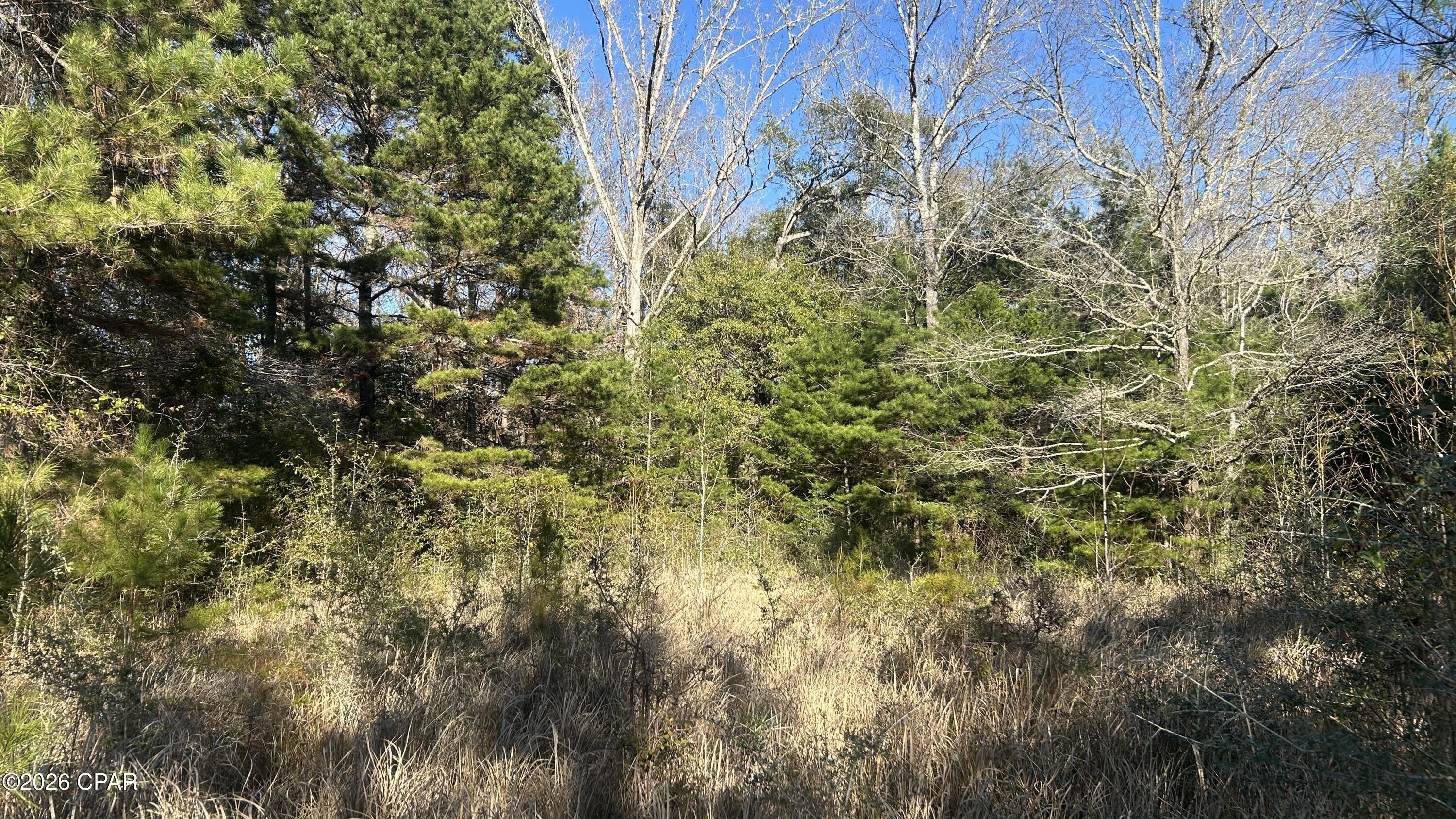 Other - Land