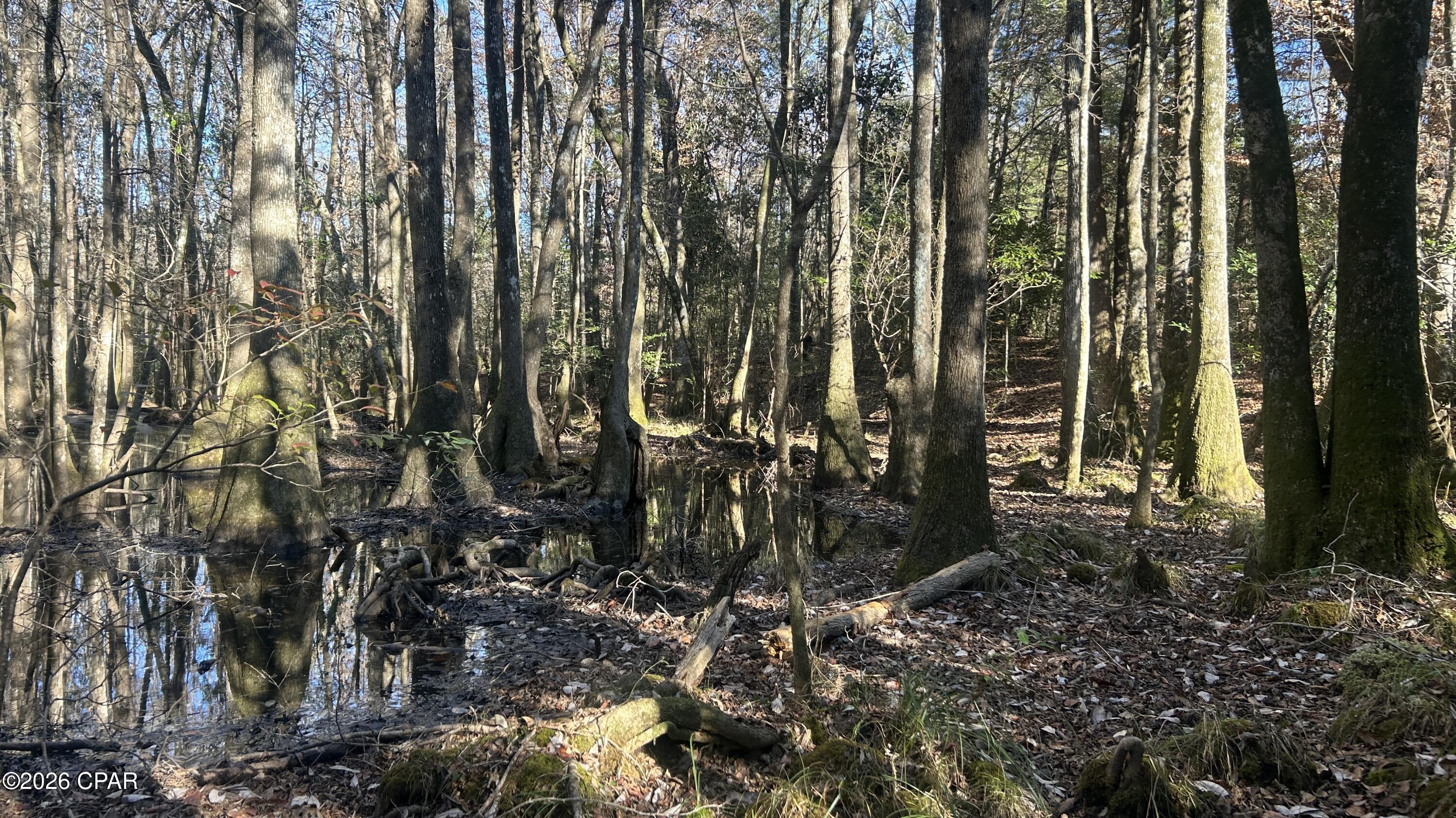 Other - Land