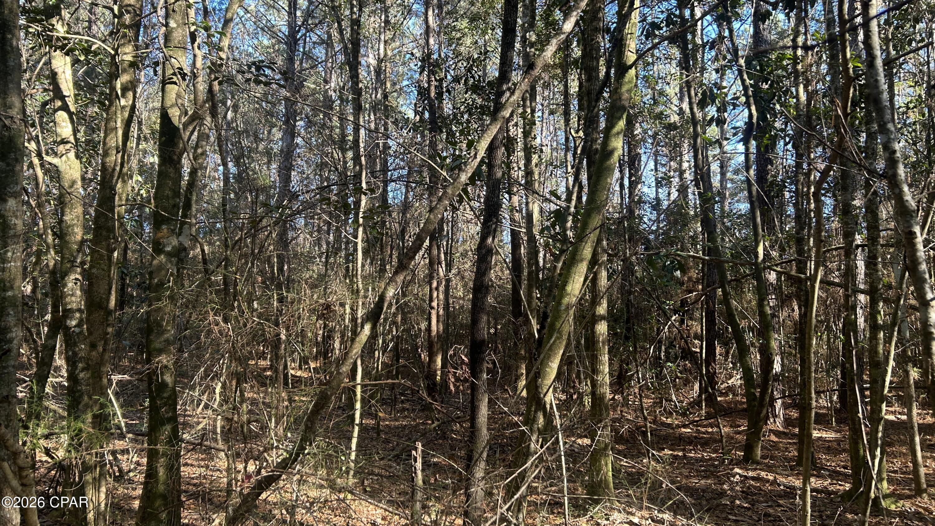 Other - Land