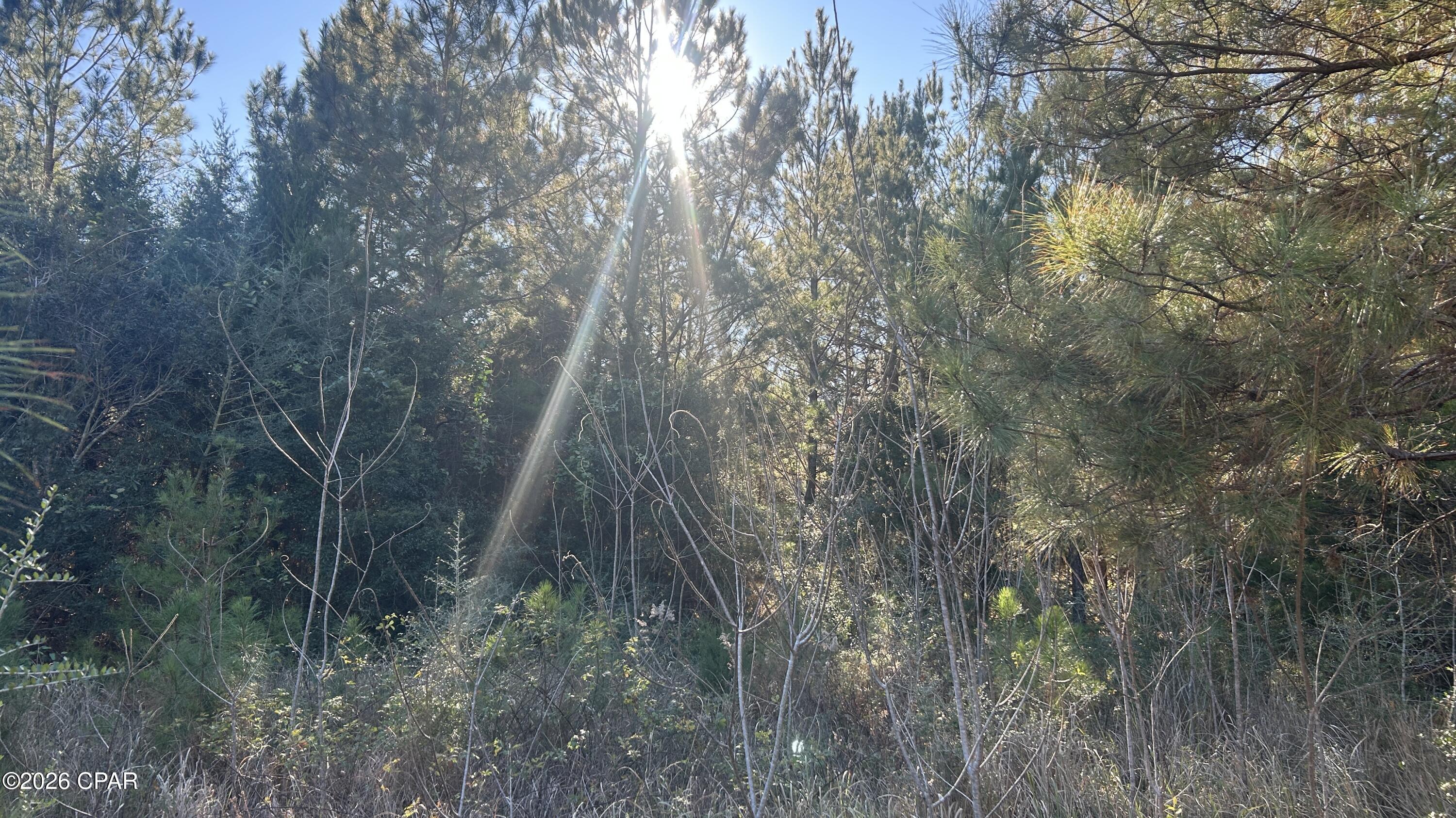 Other - Land