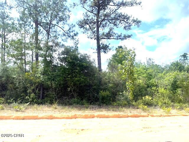 This is a nicely wooded lot in beautiful Compass Lake Hills.  It is covered with native trees.  This lot has easy access south to Panama City on the coast and north to Marianna for shopping.  If you want peace and quiet this is the place for you.  Lots of wildlife in the area, deer, turkey, birds and butterflies for you to watch and enjoy.
