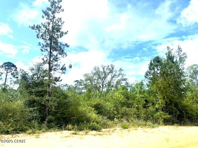 Compass Lake Hills Unit 6 - Land
