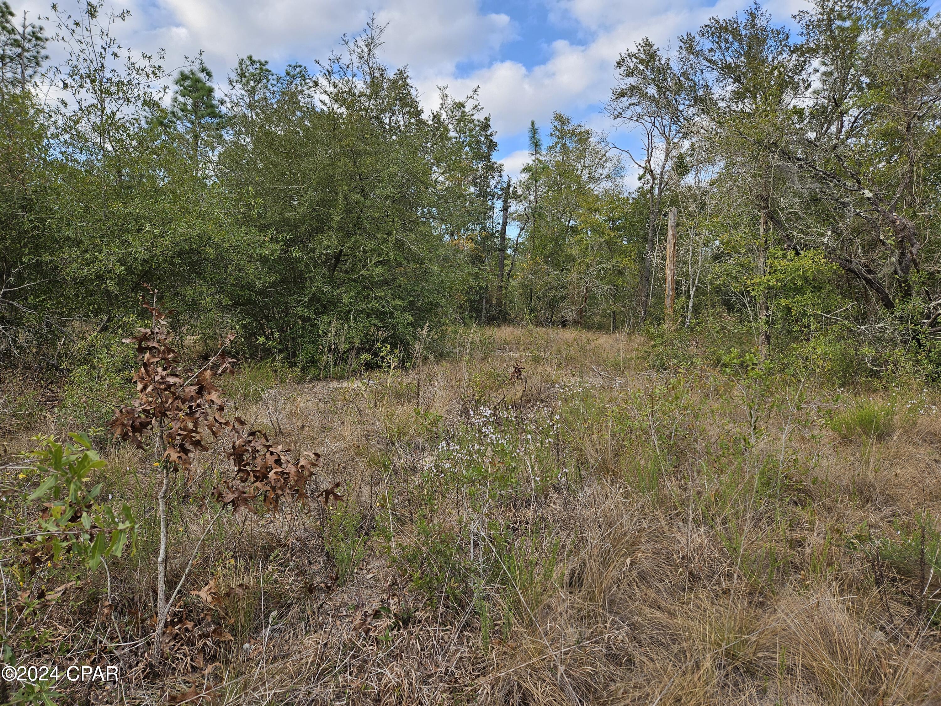 CURRENTLY UNDER CONTRACT, SELLER WILL CONSIDER BACKUP OFFERS Enjoy lake living in the security gated subdivision of Leisure Lakes, just off Hwy 77 and about 30 minutes north of Panama City. The wooded lot is located across the street from the big lake, one of the clearest lakes in the Panhandle of Florida. The lot is relatively flat so all of it is useable. It is a great building spot and close to the recreation area that includes a swimming pool, basketball court, tennis court, pavilion, boat launch, toddler playground and more. There is plenty of room for a work shop or pole barn for boats, tractors and other equipment. Come take a tour of the security gated community and all of the amenities!