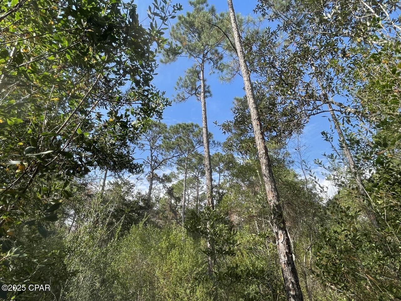 Create the life you've been dreaming about on this 6± acre unrestricted property in the heart of Milton, Florida, within Santa Rosa County. With no HOA or restrictive covenants, this versatile property is suitable for a custom-built home or mobile home.
The generous acreage offers plenty of room to add a pole barn, garden, workshop, or farm animals, making it an excellent option for a homestead or hobby farm. Enjoy the flexibility to design your own country retreat while still being close to local conveniences.
Outdoor enthusiasts will appreciate the property's proximity to some of the area's best fishing and boating opportunities. Three public boat ramps are located within a 15-minute drive, including Oyster Pile Boat Ramp (3.2 miles), Milton City Marina (5 miles), and Mae Lane Boat Ramp (6.8 miles). These provide easy access to Blackwater Bay, known for excellent fishing for speckled trout, redfish, and flounder.
Whether you're planning a full-time residence, weekend getaway, or recreational property, this land offers space, freedom, and location. Note:  Buyer to perform all due diligence regarding zoning, land use, access, utilities, environmental conditions, and intended use.

Property Features:
*Perfect for building or mobile home
*Plenty of room for a hobby farm
*Multiple boat landings under 7 miles away