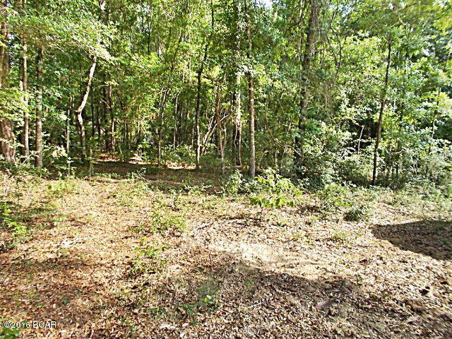 Indian Springs - Residential