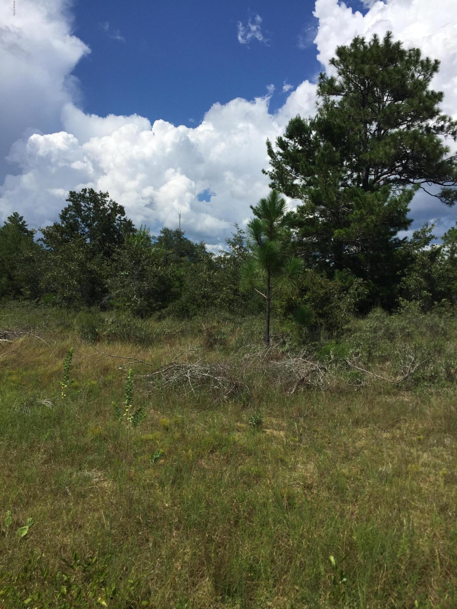 This vacant lot is in a beautiful, secluded area of Sunny Hills, on a quiet street. Located about 5 miles off of Hwy 77, it's far enough off the main road that you'll have all the privacy you want, yet still close enough to areas of commerce, work, and activity. Approx. 30 minutes from the NW Florida Beaches International Airport and Panama City, and 45 minutes from the beautiful emerald waters of Panama City Beach. The cities of Wausau and Chipley are each within a 20-30 minute drive. There aren't many other homes near the property, so if seclusion is what you seek, this lot is for you. Located near popular fishing & swimming spots Boat Pond and Gap Lake. This is an ideal location for a nice, quiet, country home. Paved road access all the way to the property.