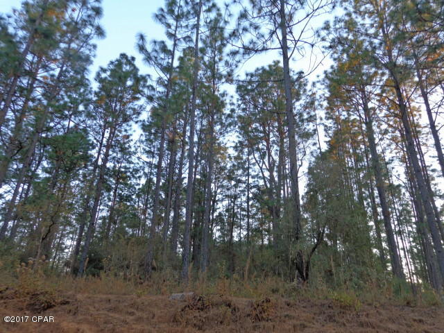 Wooded 10 acres located close to Hwy 231 & Compass Lake for boating & fishing. Mobile Homes & horses are welcomed.
