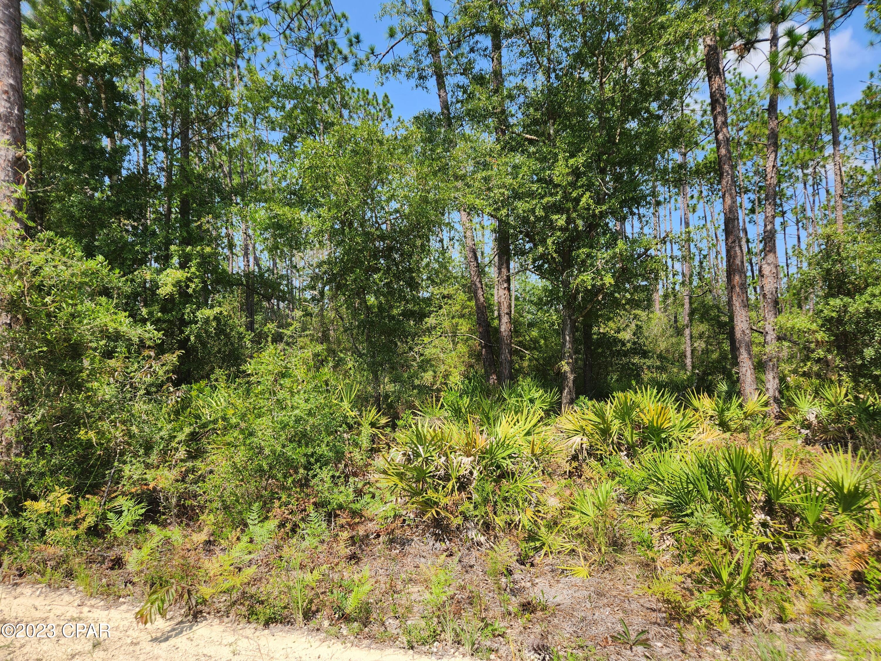 Beautiful 5 acre lot with mixed hardwoods and pines to build your dream home in Unincorporated Bay County.  Horses allowed.  Bring your campers, boats and RV's and enjoy your retreat tucked away from city life. 6 mins to Marianna 35 mins to Panama City and a bit more to Panama City Beach.   All information, zoning, uses, etc require buyer verification.