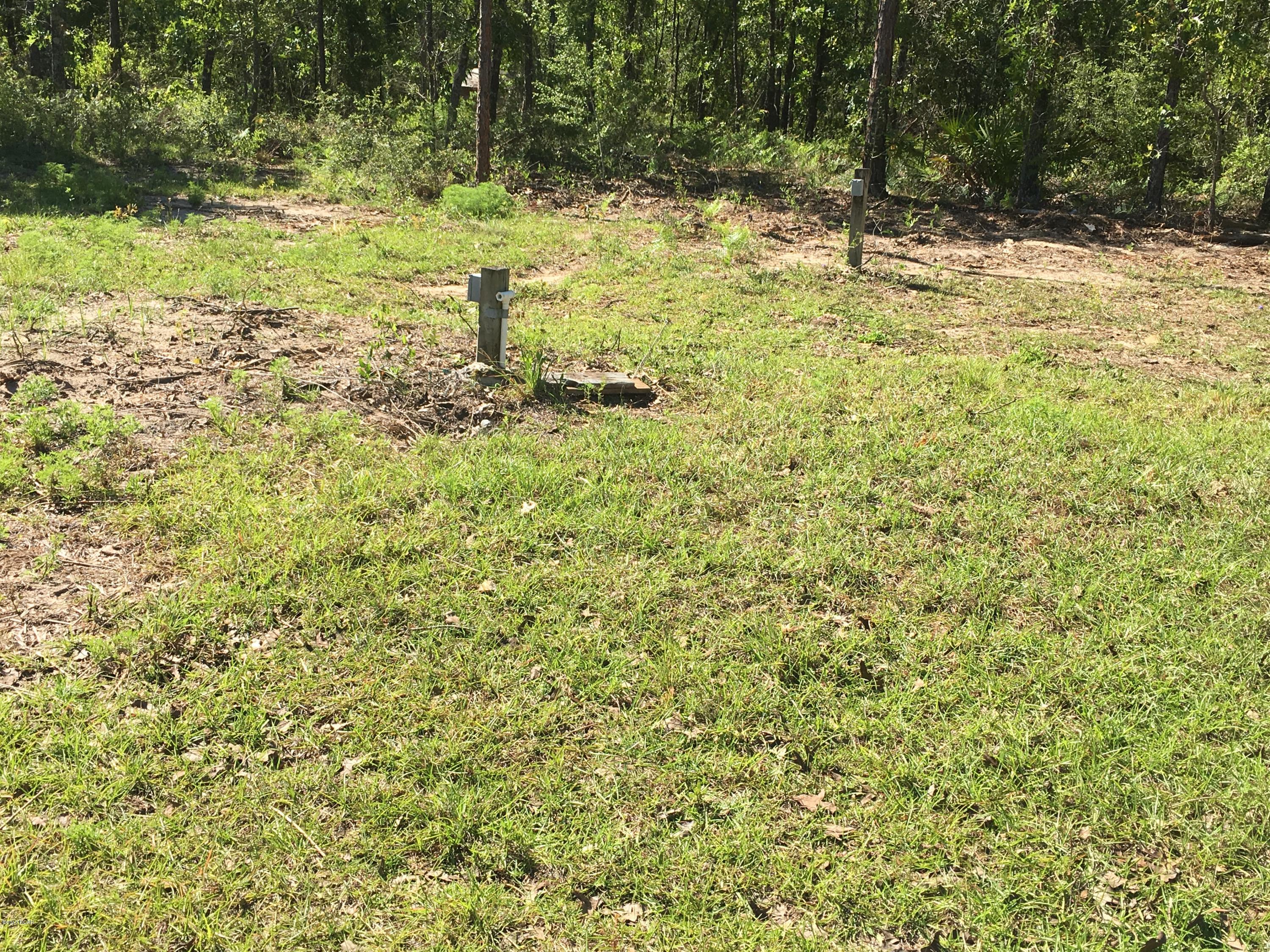 Buckhorn Creek - Land