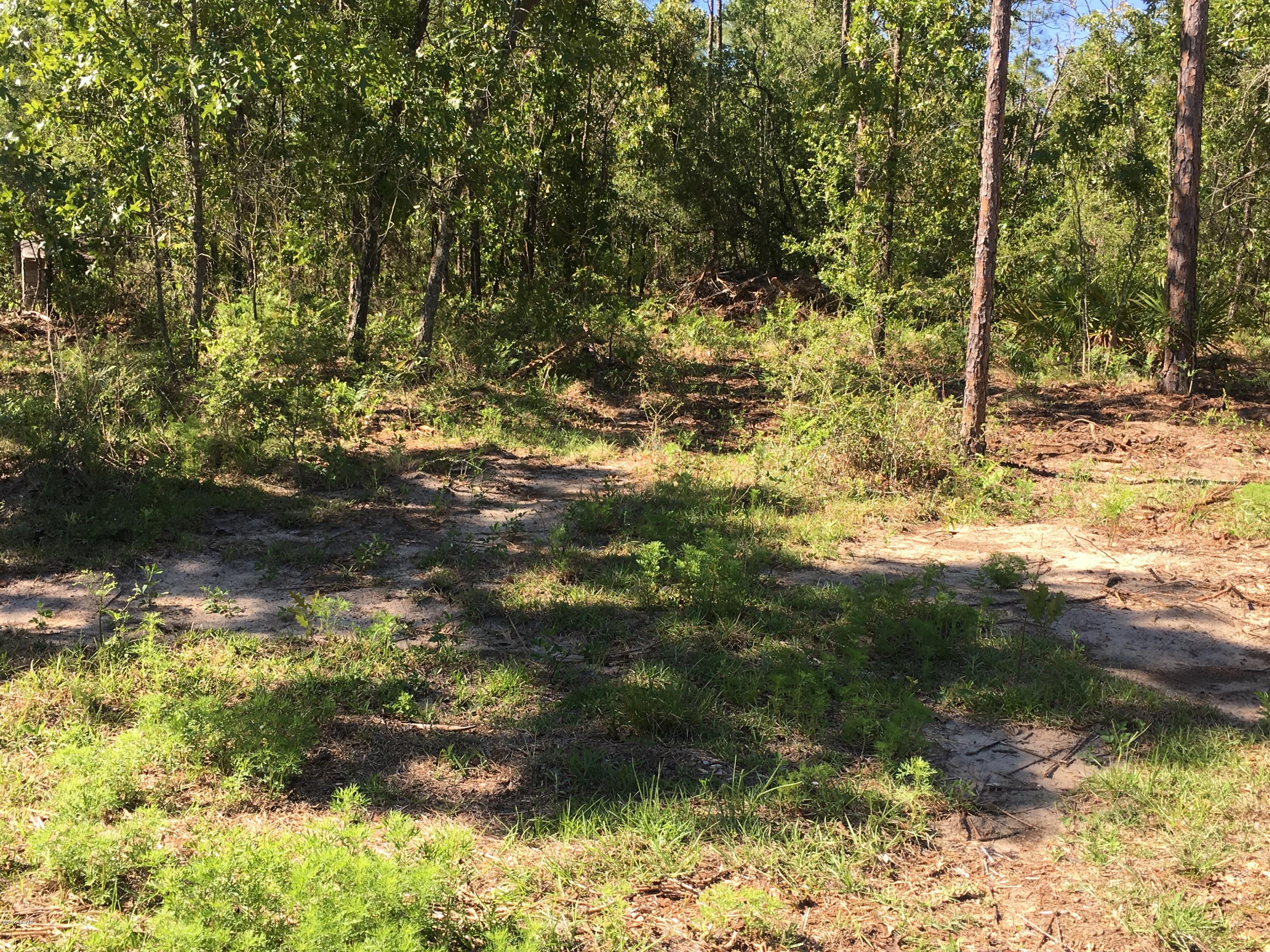 Buckhorn Creek - Land