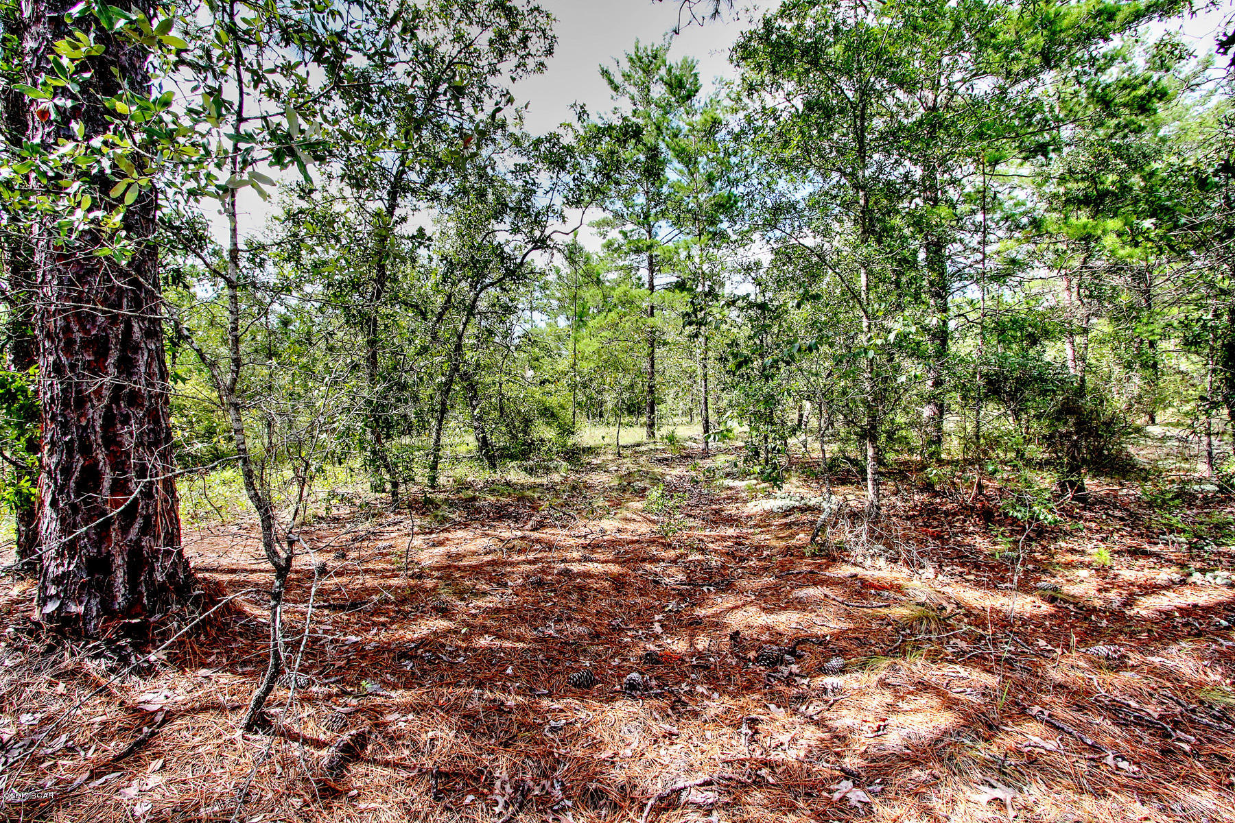 Grassy Pond Ranch - Land