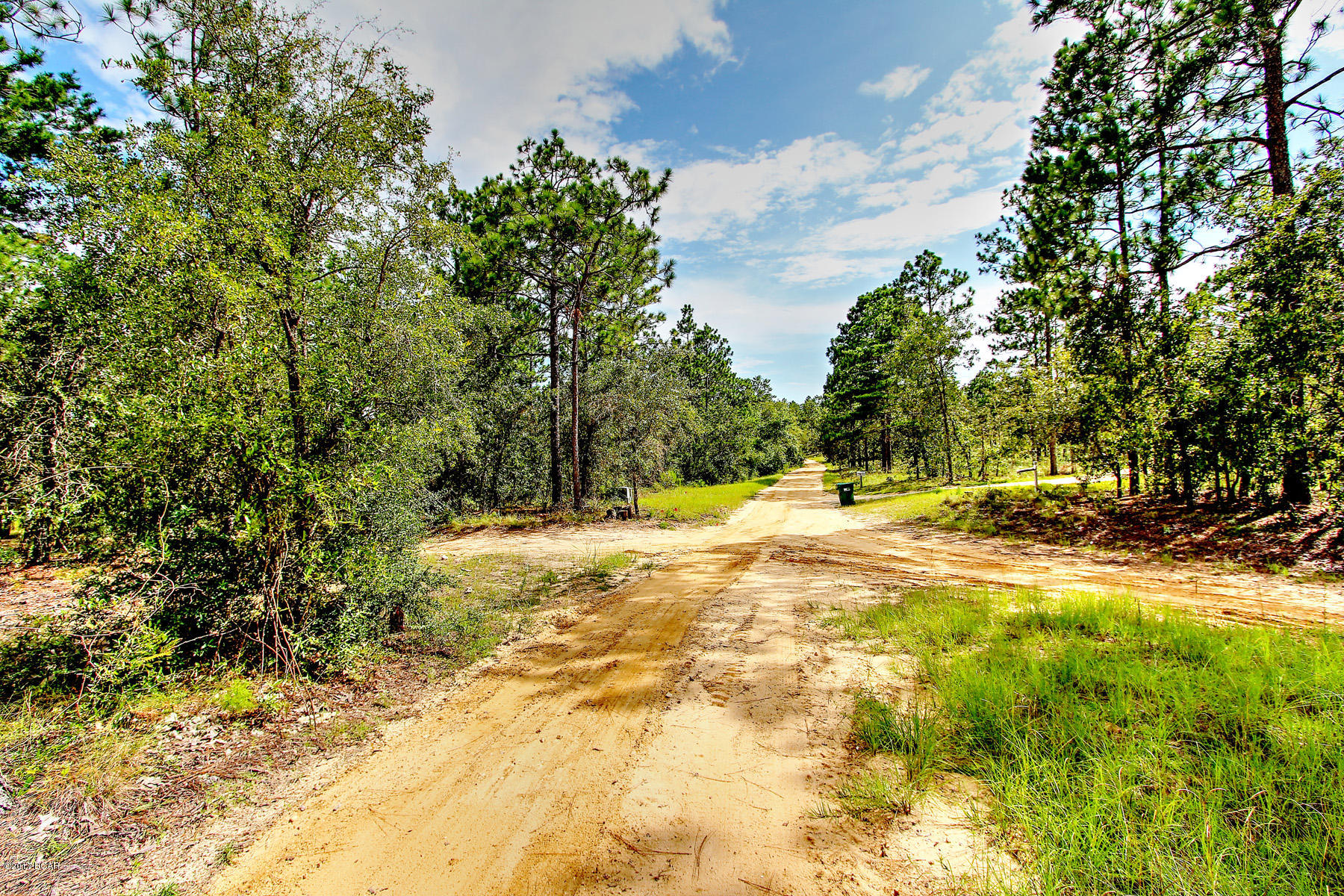 Grassy Pond Ranch - Land