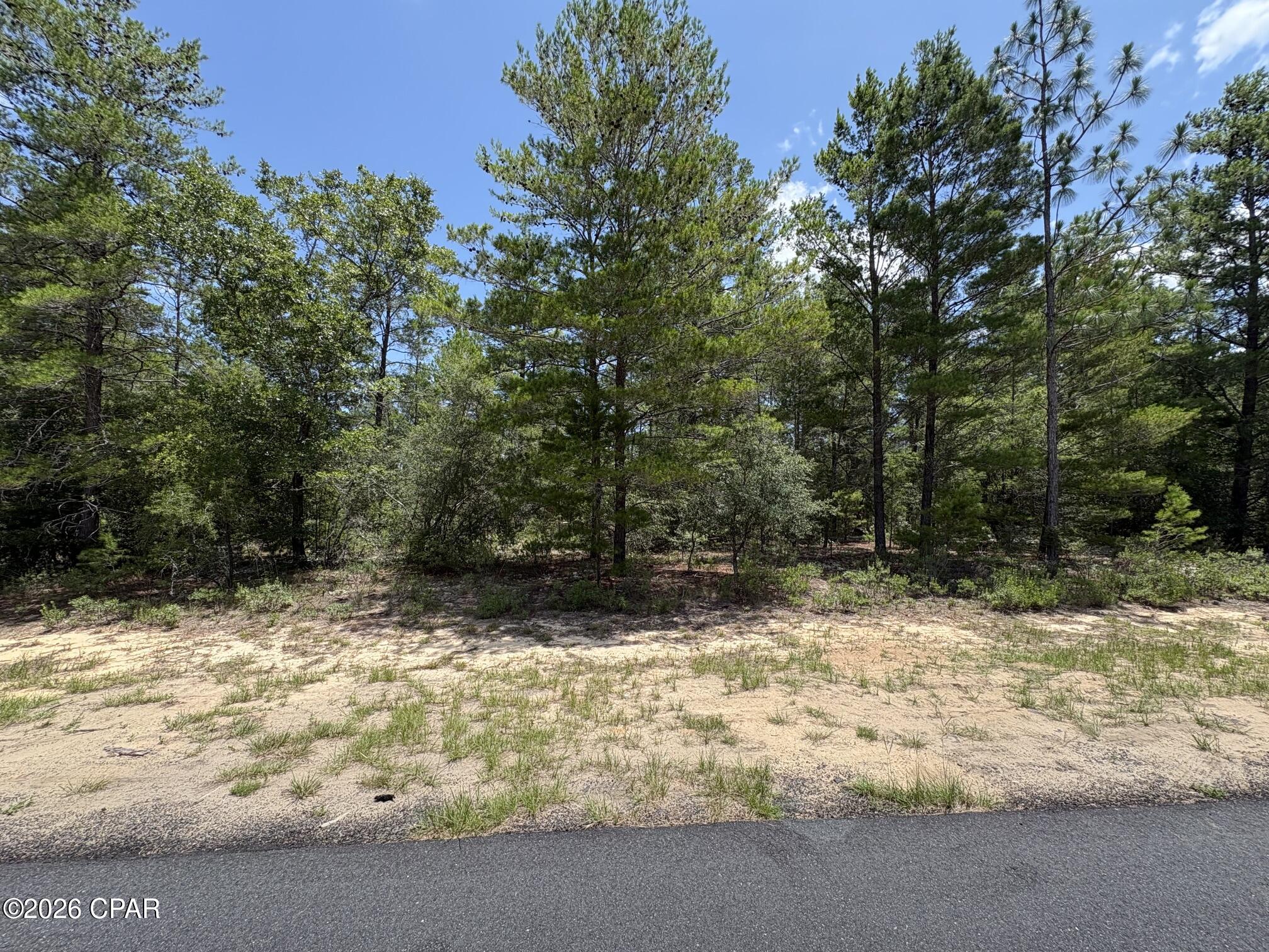 Build your Florida dream home on this exceptional homesite in the growing community of Sunny Hills! Lot 14 Gulliver Drive offers the perfect blend of convenience, natural beauty, and investment potential. This flat, lightly wooded lot features several beautiful specimen trees, providing the ideal balance of privacy and a picturesque setting while leaving plenty of room to design your dream home.

With power and public water available at the street through US Water, you're one step closer to bringing your vision to life. Enjoy the benefits of a freshly paved road and the excitement of brand-new homes being built nearby, making this an ideal time to invest in one of Northwest Florida's fastest-growing communities.

Located just minutes from Highway 77, you'll enjoy an easy commute north to Chipley for everyday conveniences or south to Panama City for world-class beaches, shopping, dining, and entertainment. Whether you're planning to build now or secure a homesite for the future, this outstanding property offers the location, infrastructure, and neighborhood momentum you've been looking for.

Don't miss this opportunity to own a beautiful piece of Sunny Hills and become part of a thriving community on the rise!