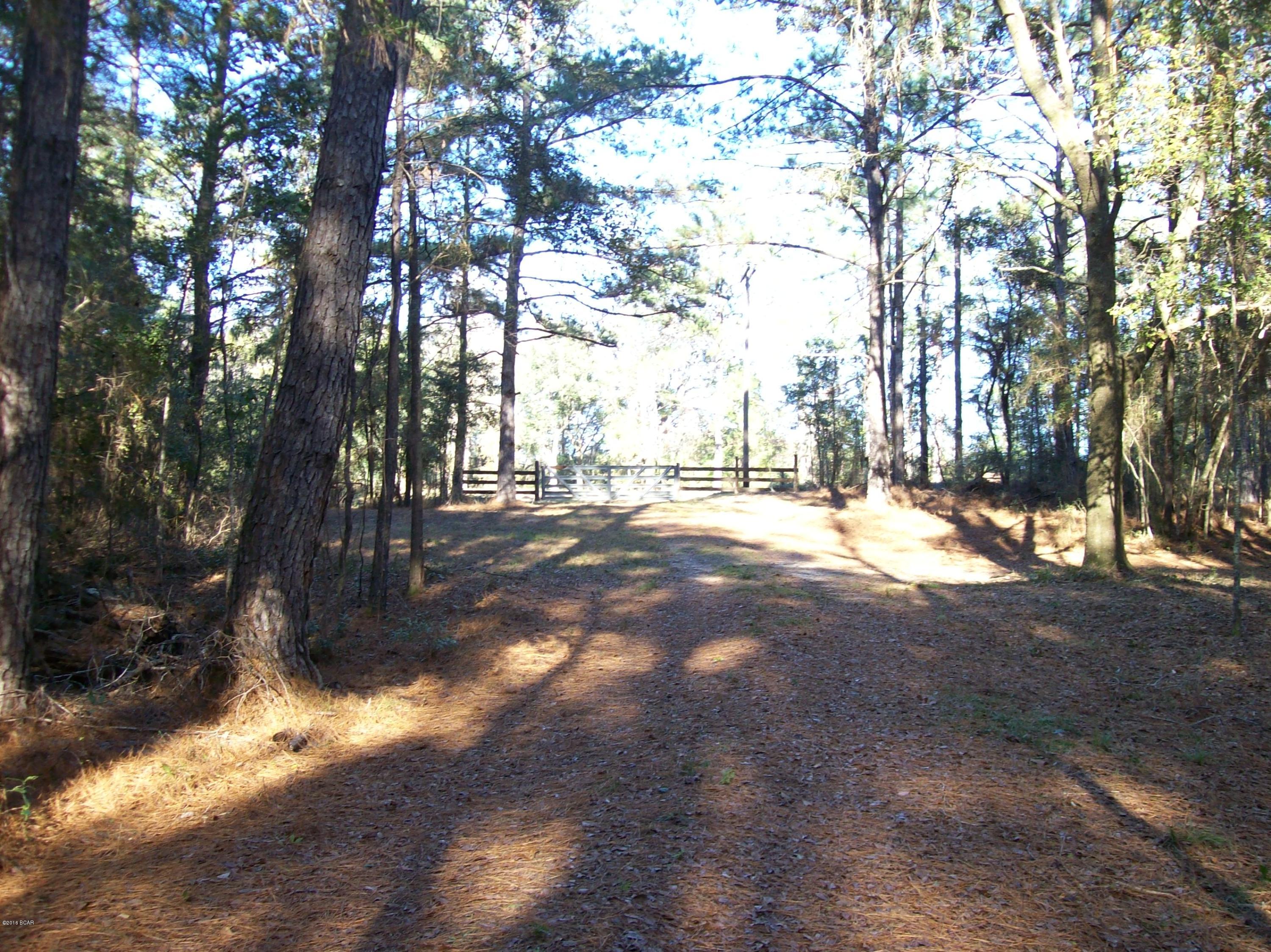 Twenty five acres (mol)  with long Caney Branch Creek frontage. A mixture of open pasture and woods .Very pretty land in a Great area on paved road. A Quaint old

Barn  is on this property and is still usable.